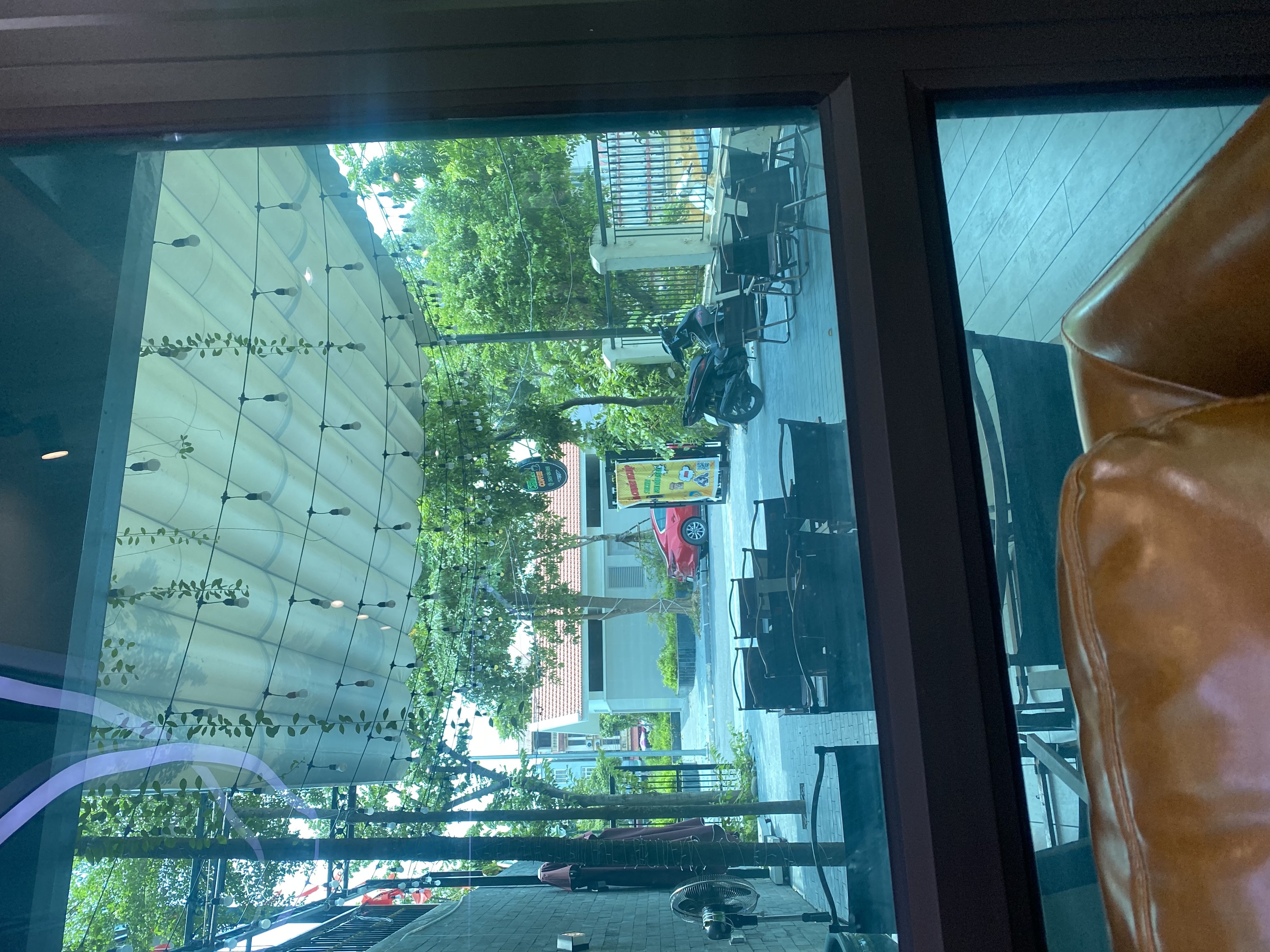 IMG_7911.jpeg