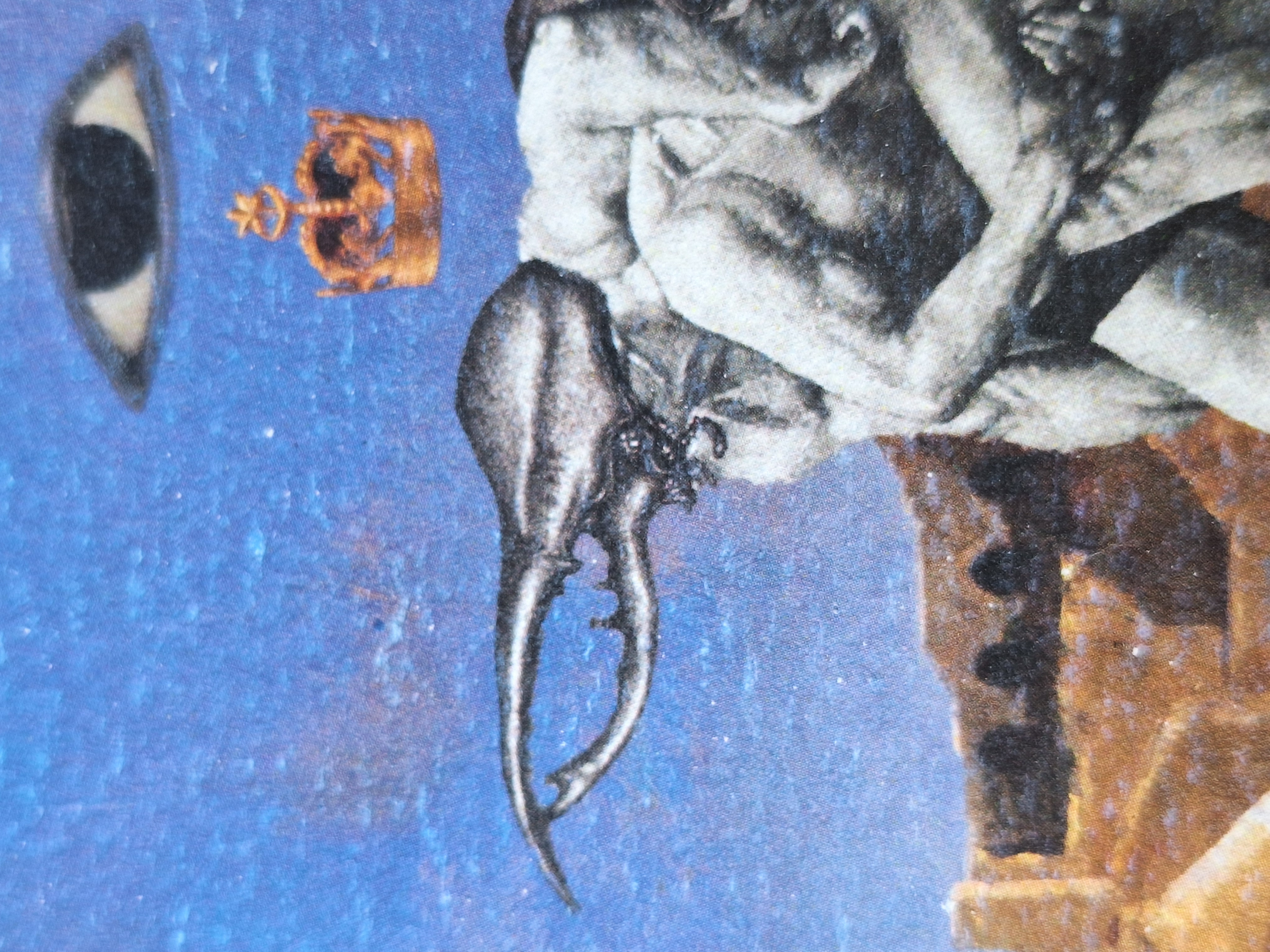 20250526_122818.jpg
