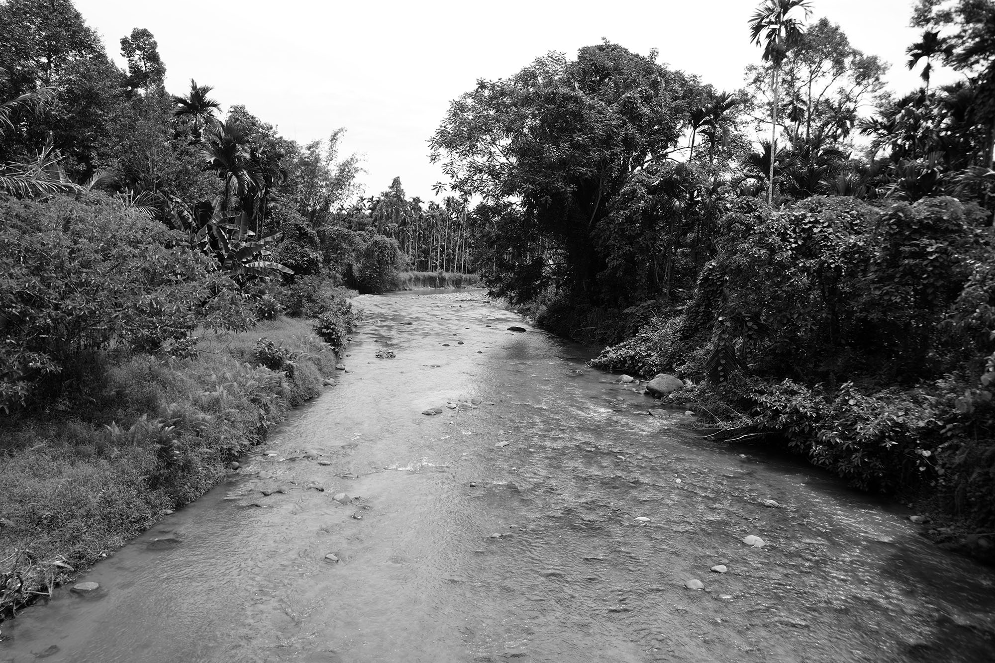 Sawang_01.jpg