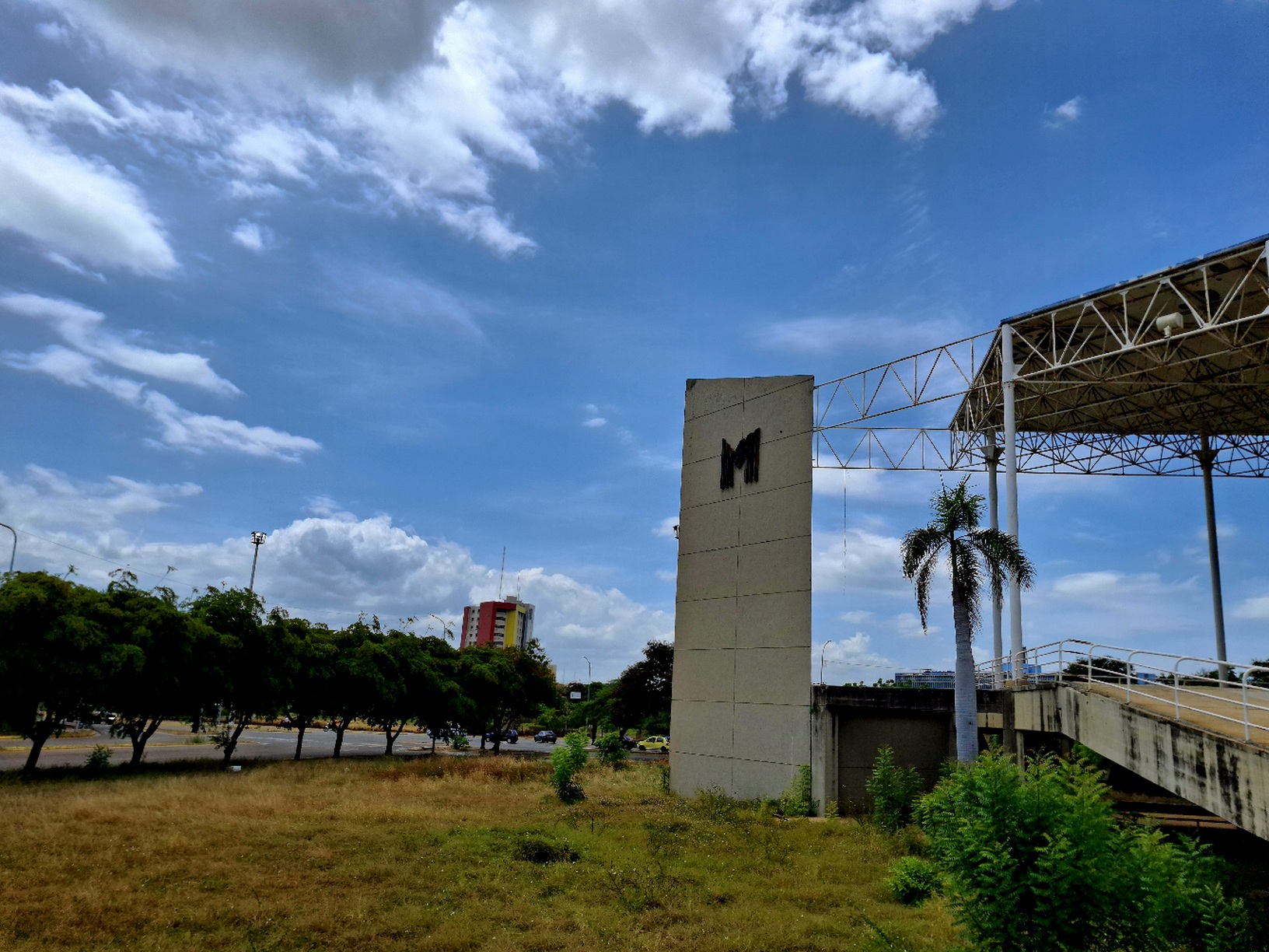 20250726_113337.jpg
