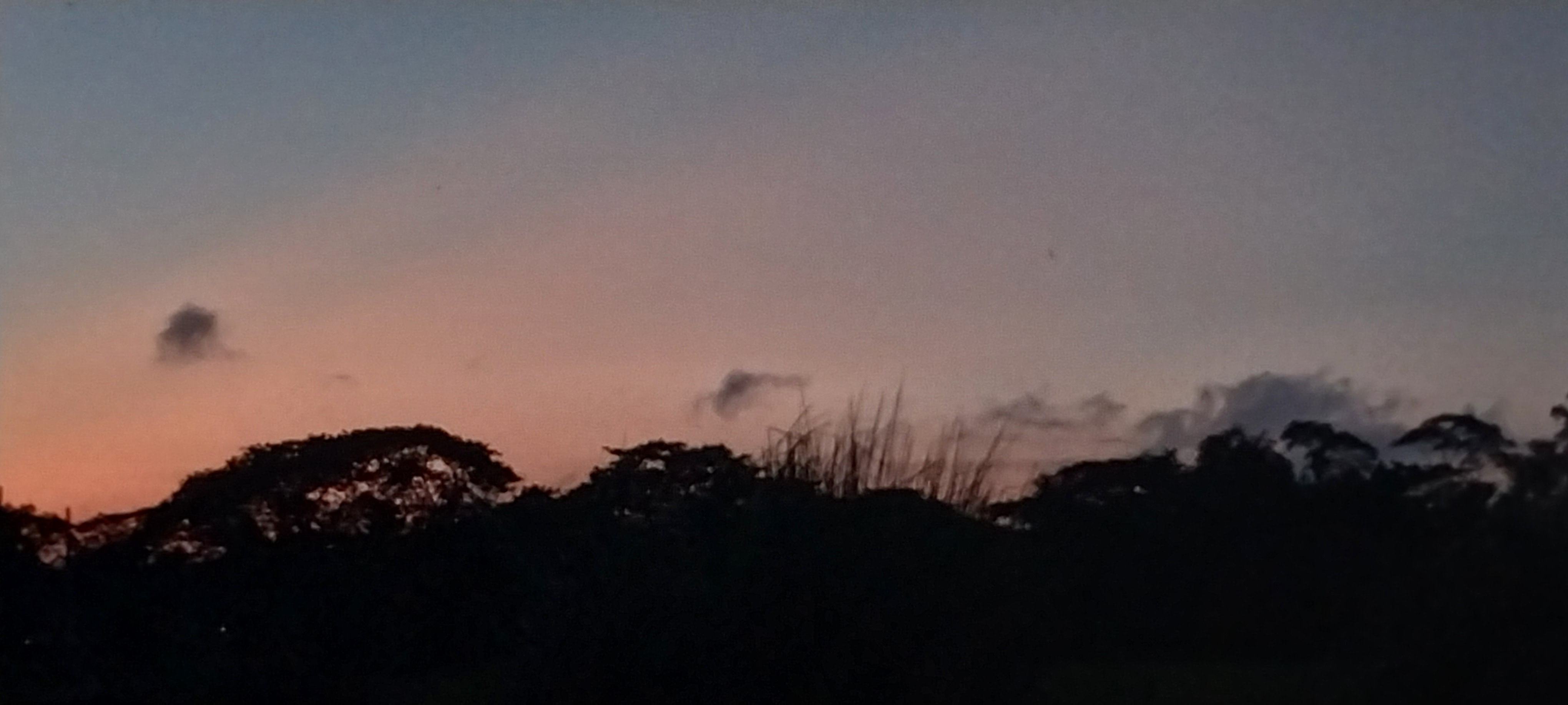 20250627_190917.jpg