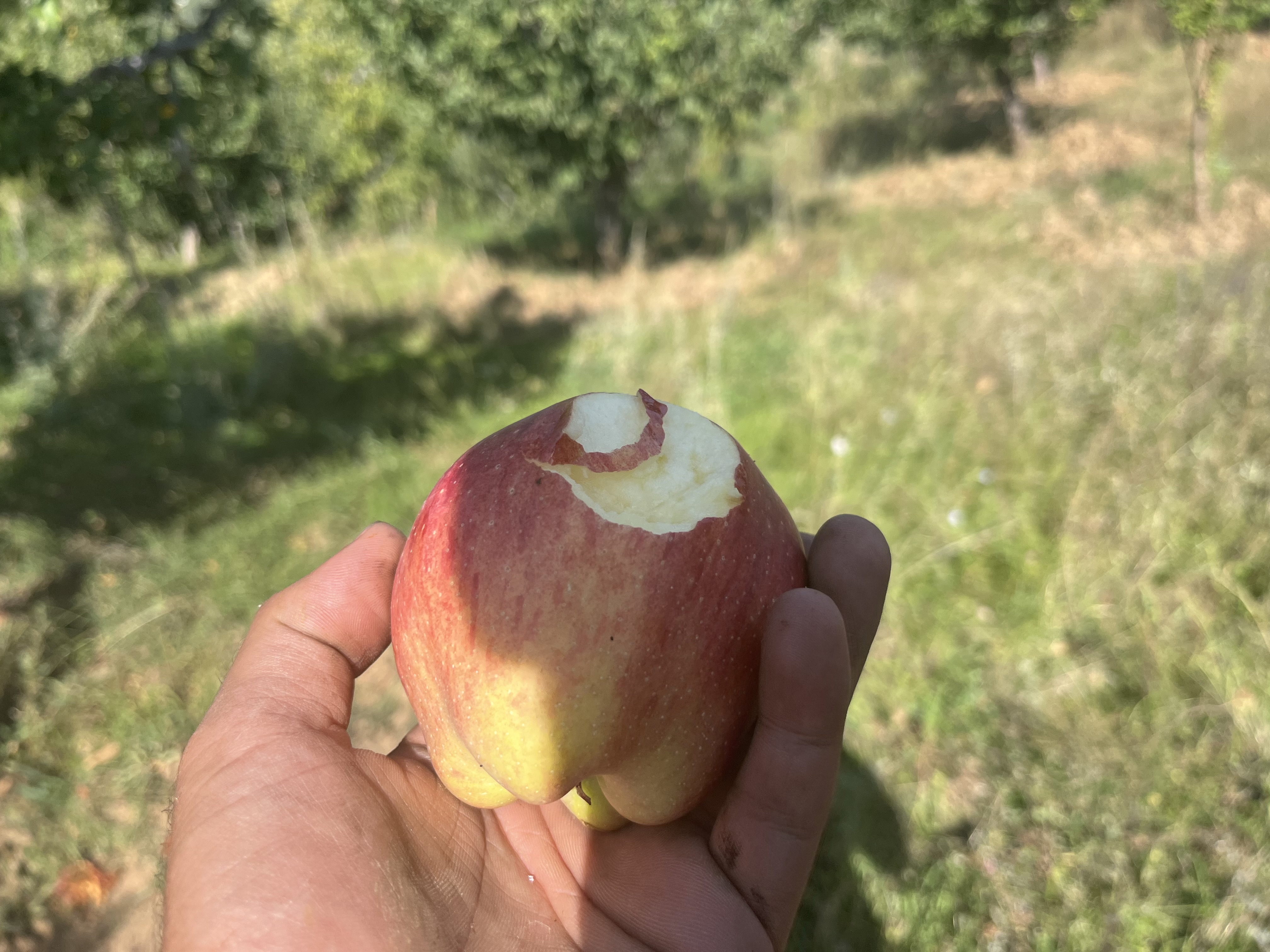 IMG_0680.jpeg