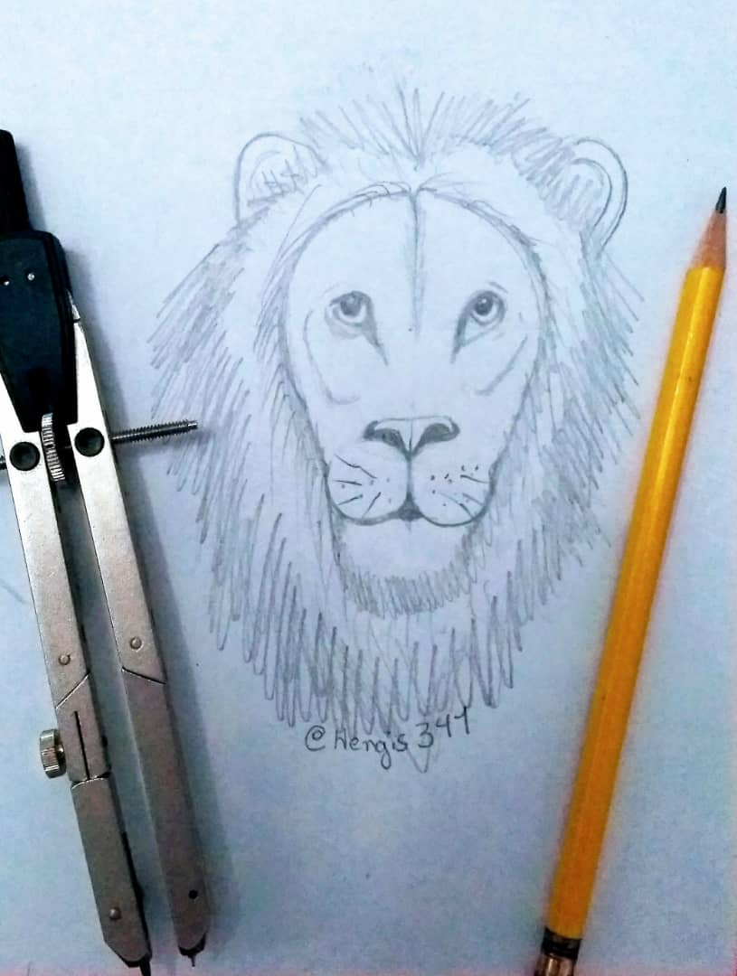 Drawing a Lion || Easy pencil sketch - YouTube