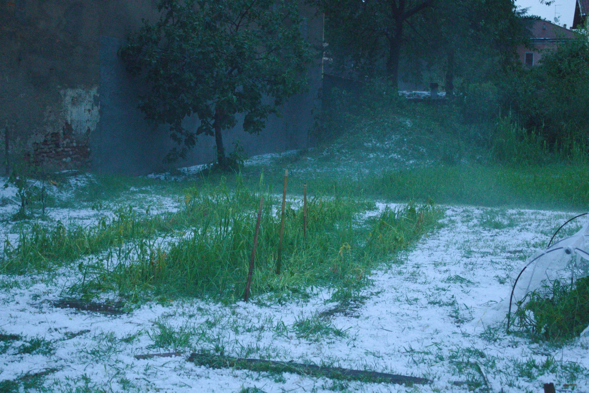 giardino_5.jpg