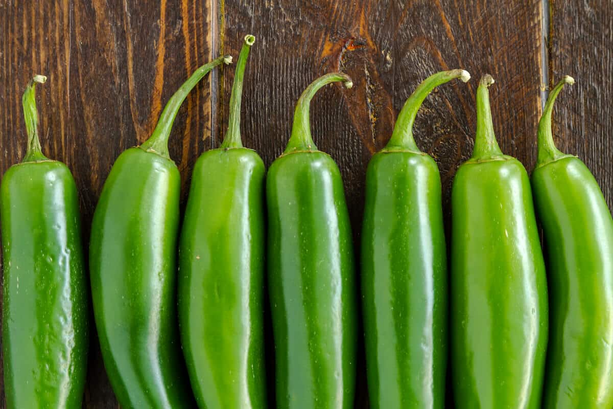 Serrano-Pepper-Planting.jpeg