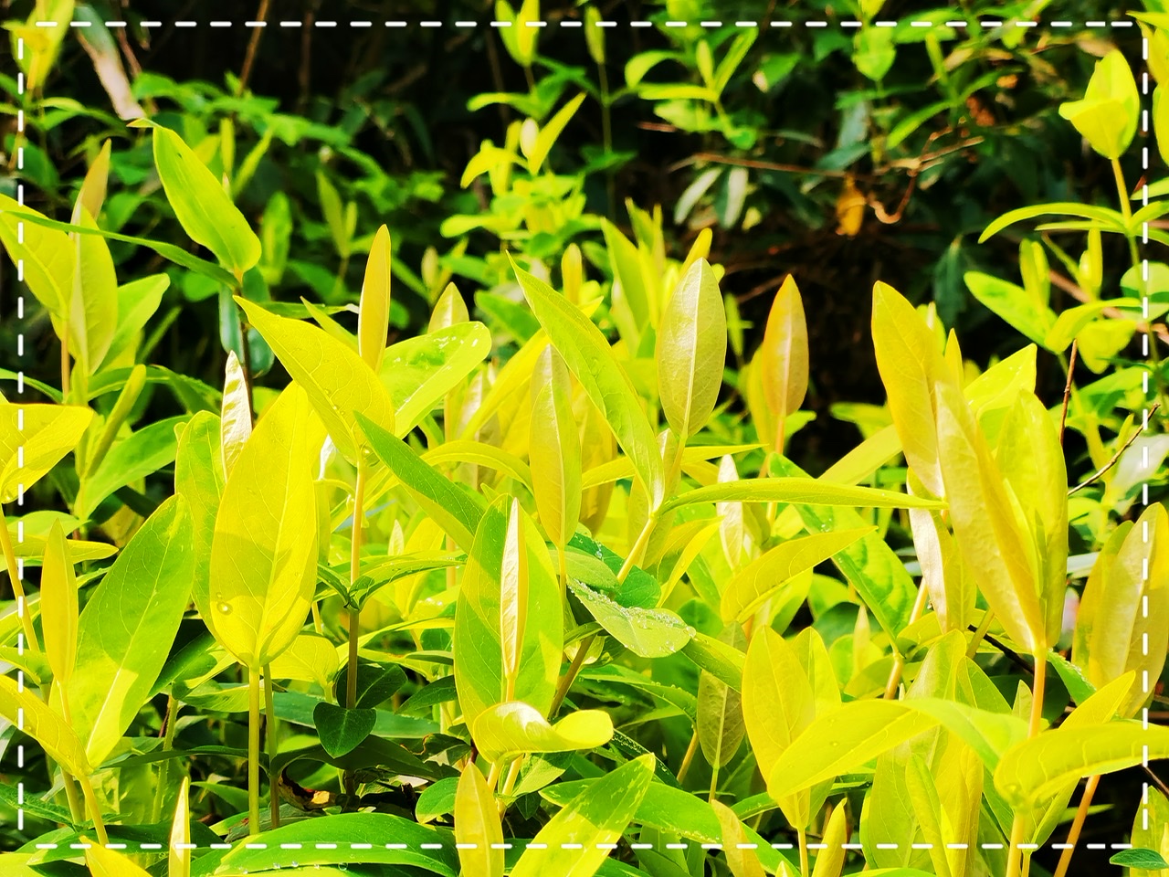 9A74E819-951D-46F4-93D4-3338B7700F27.jpeg