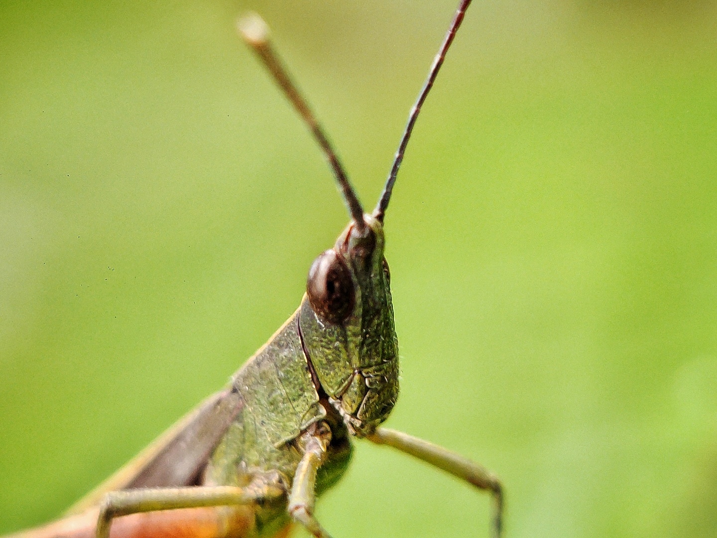 1000091970.jpg