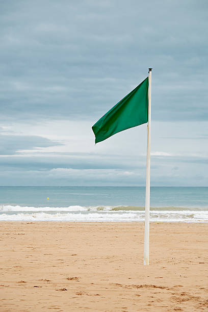 istockphoto-490104264-612x612.jpg