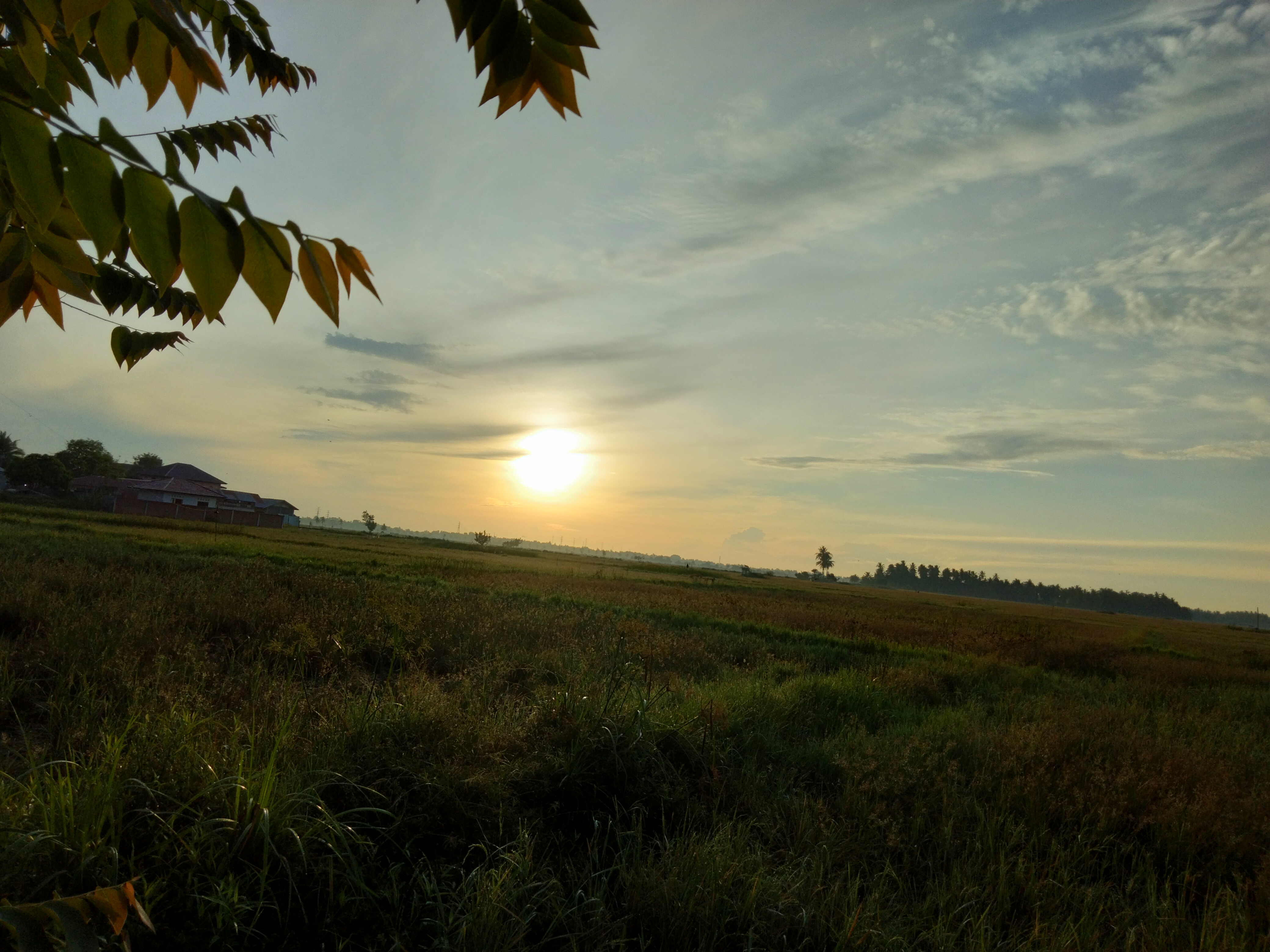 IMG20220808065254.jpg