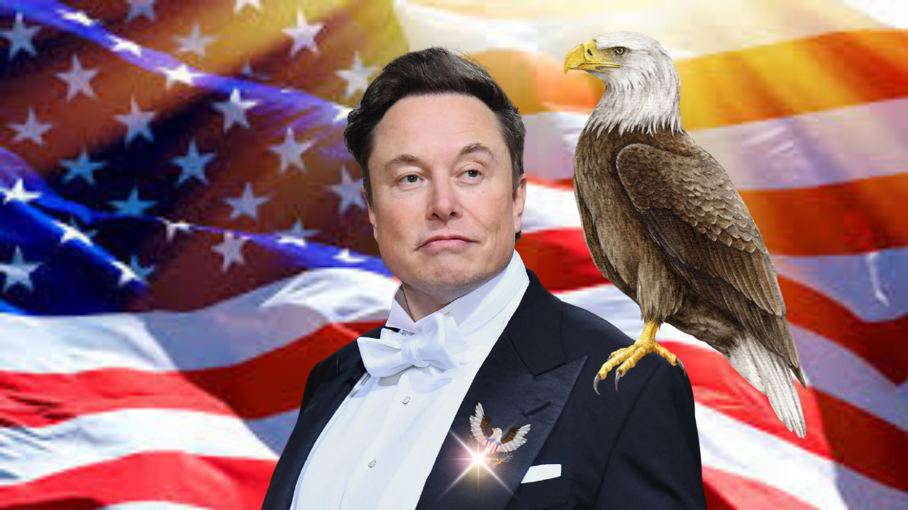 Elon Patriot.png