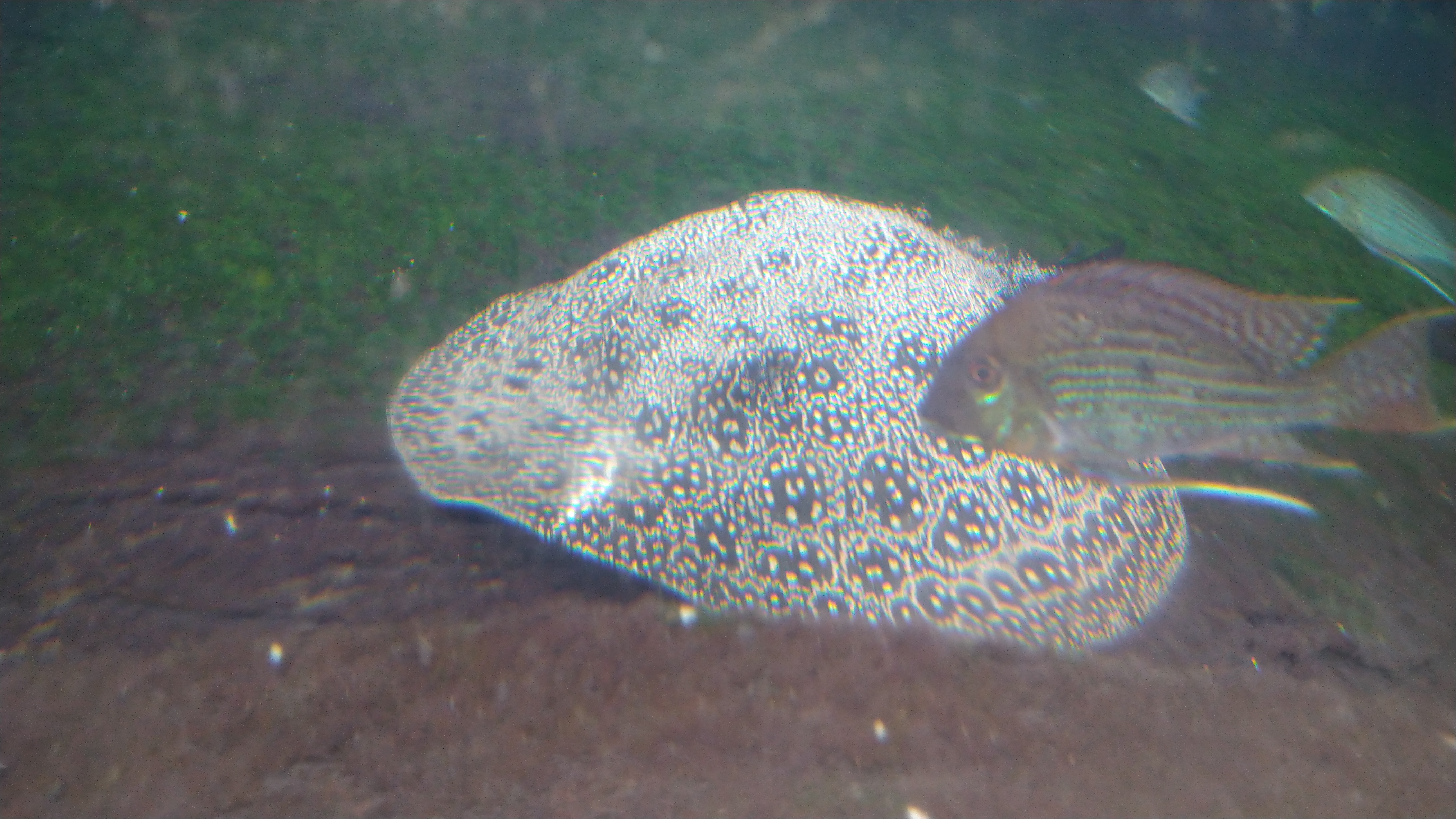 DSC_7651.JPG