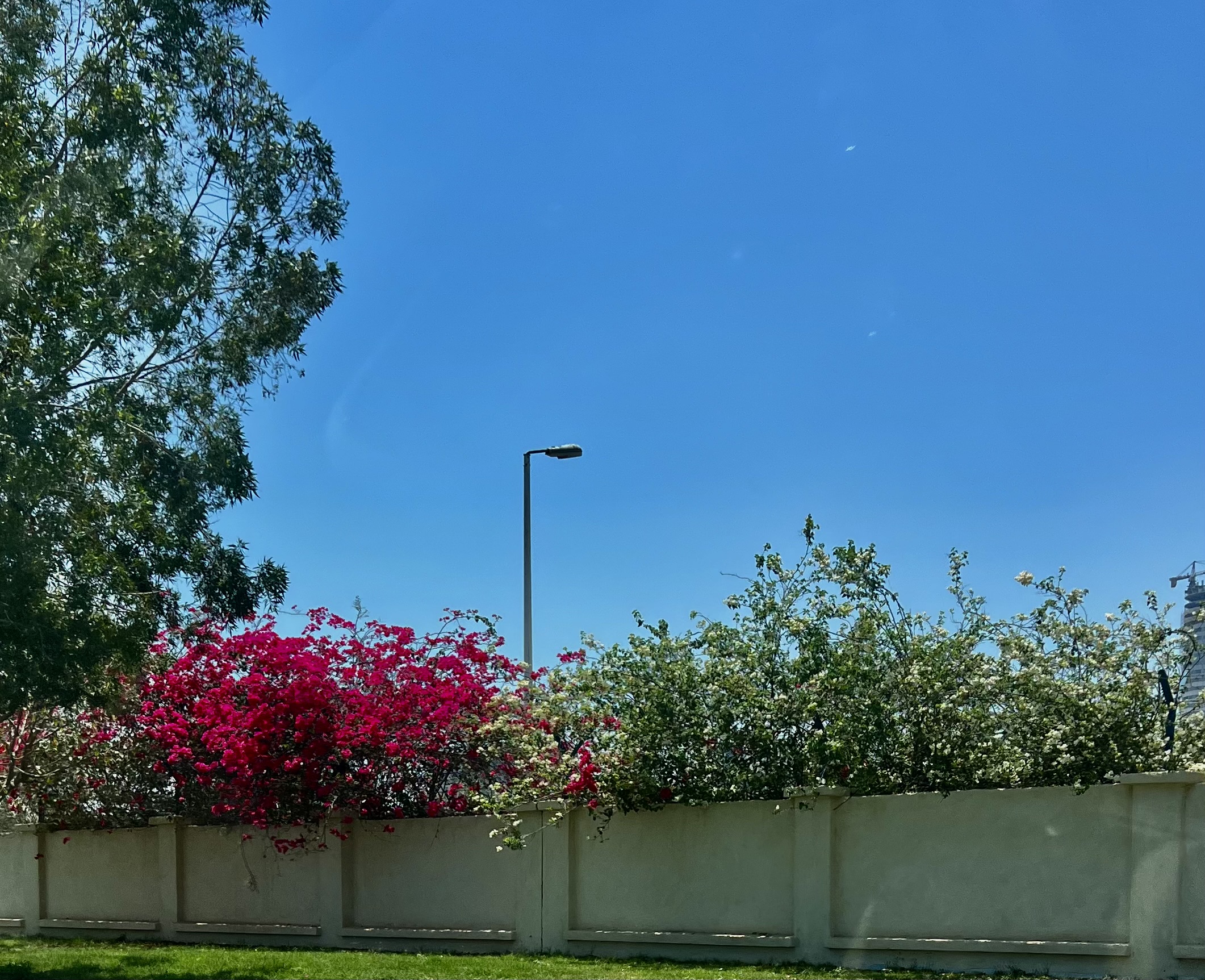 IMG_9029.jpeg