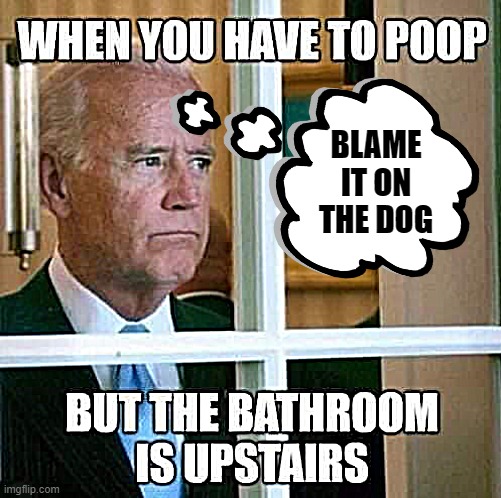 biden_poop_dog_meme.jpg