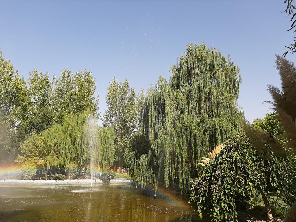 https://images.hive.blog/DQmRuVvzxt7aJEU3fyJ9CNecxVH2eFvgi3YA56DZhA2v8Np/20210909_101558.jpg