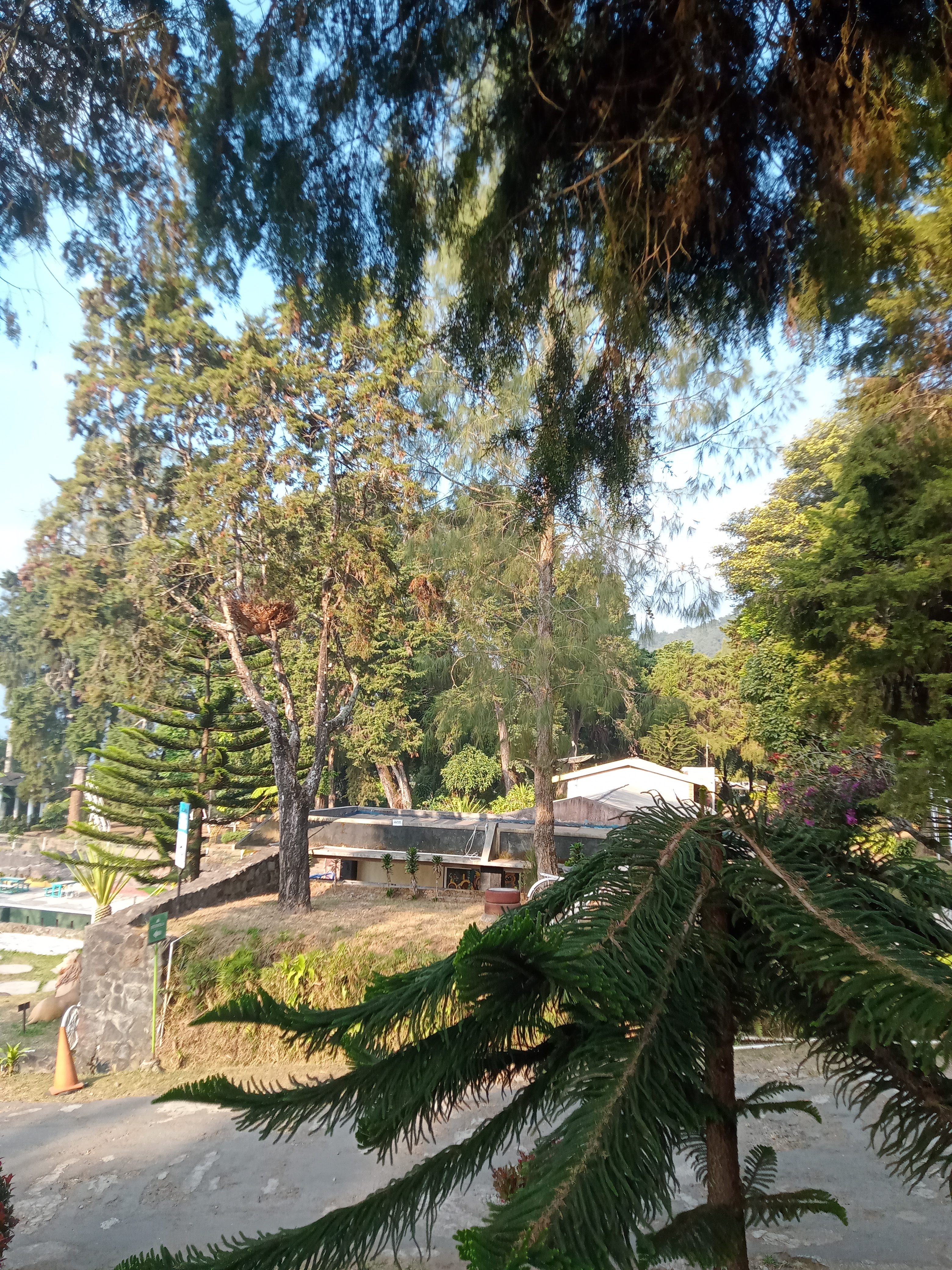 IMG20230914160649.jpg
