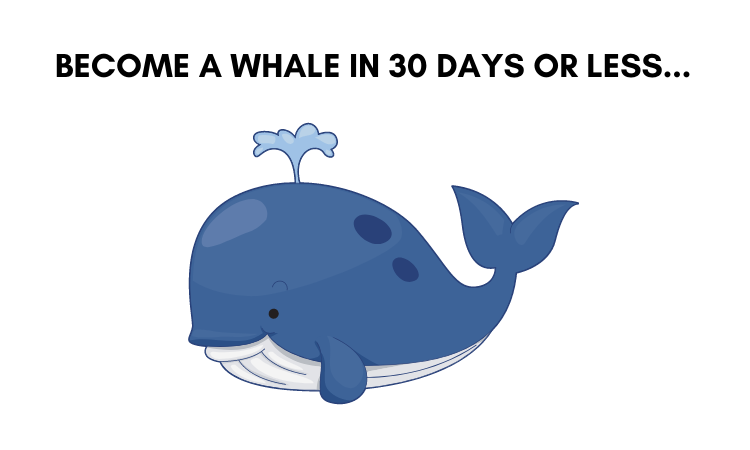 whale.png