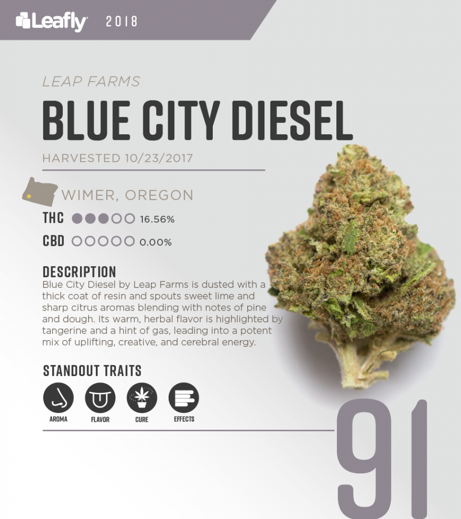 Blue-City-Diesel-Score-Card-910x1024.png