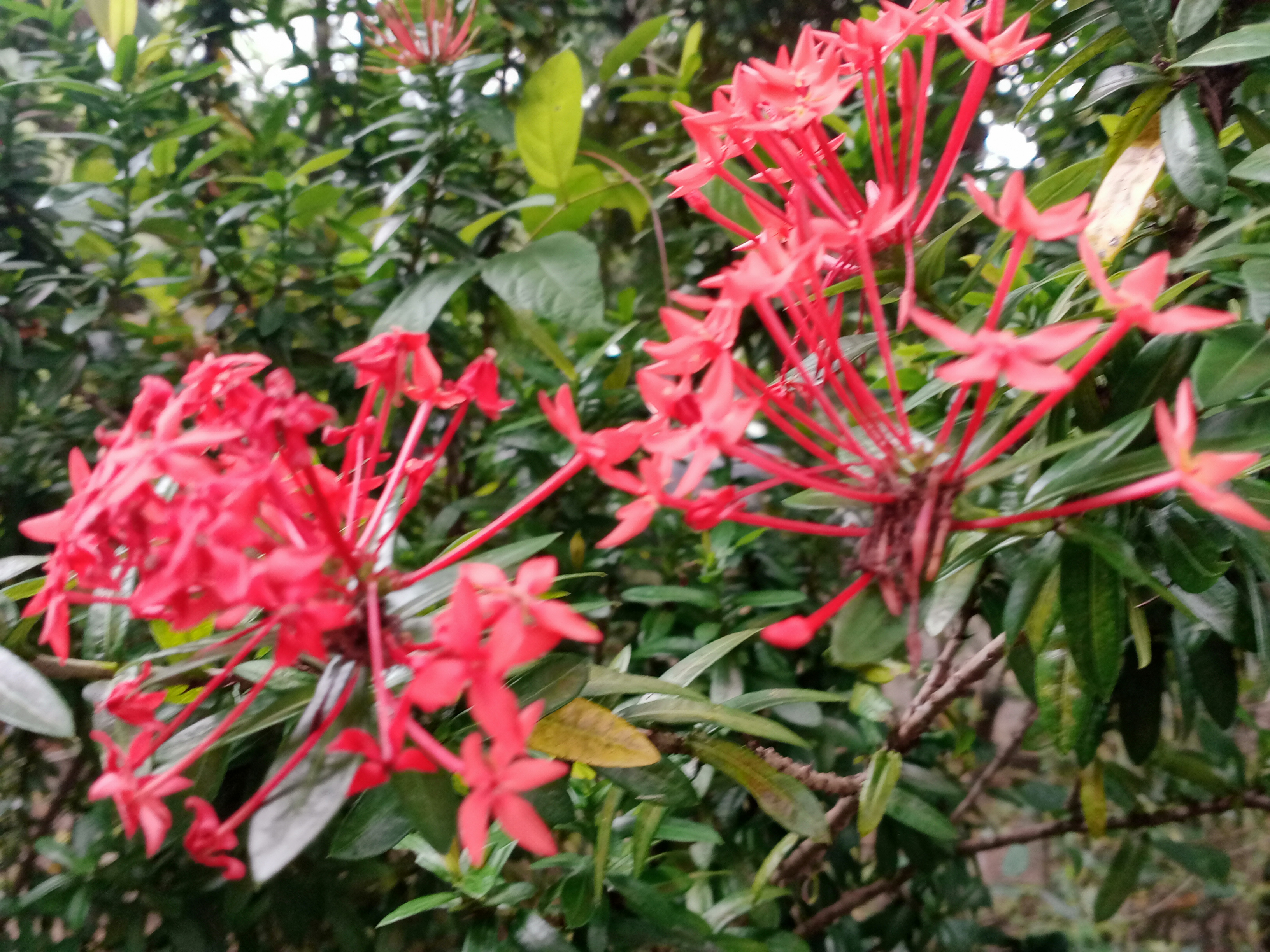 IMG20220108112821.jpg