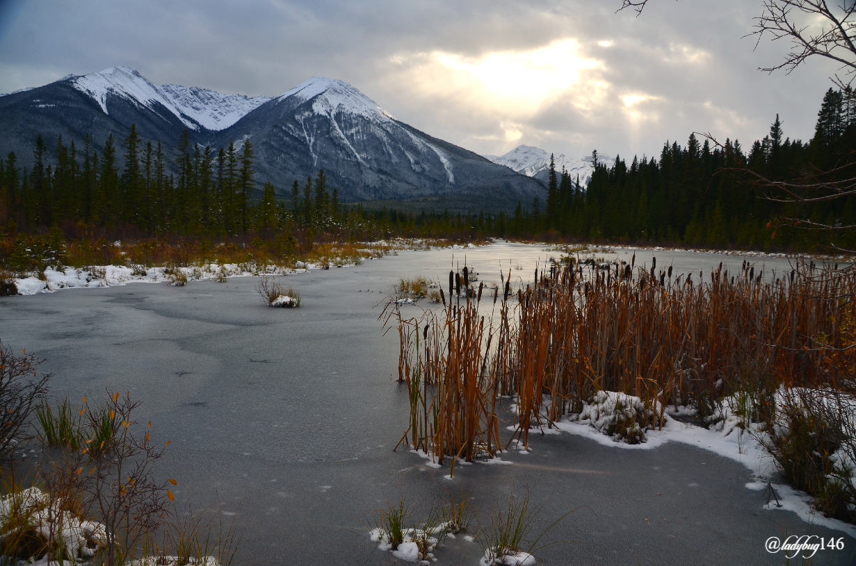 vermillion lakes (7).jpg