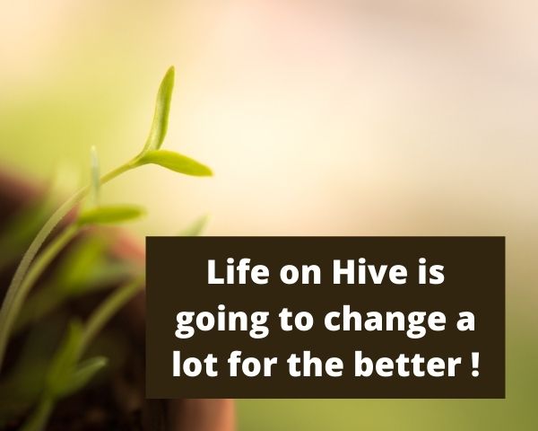 Life on Hive is going to change a lot for the better!.jpg