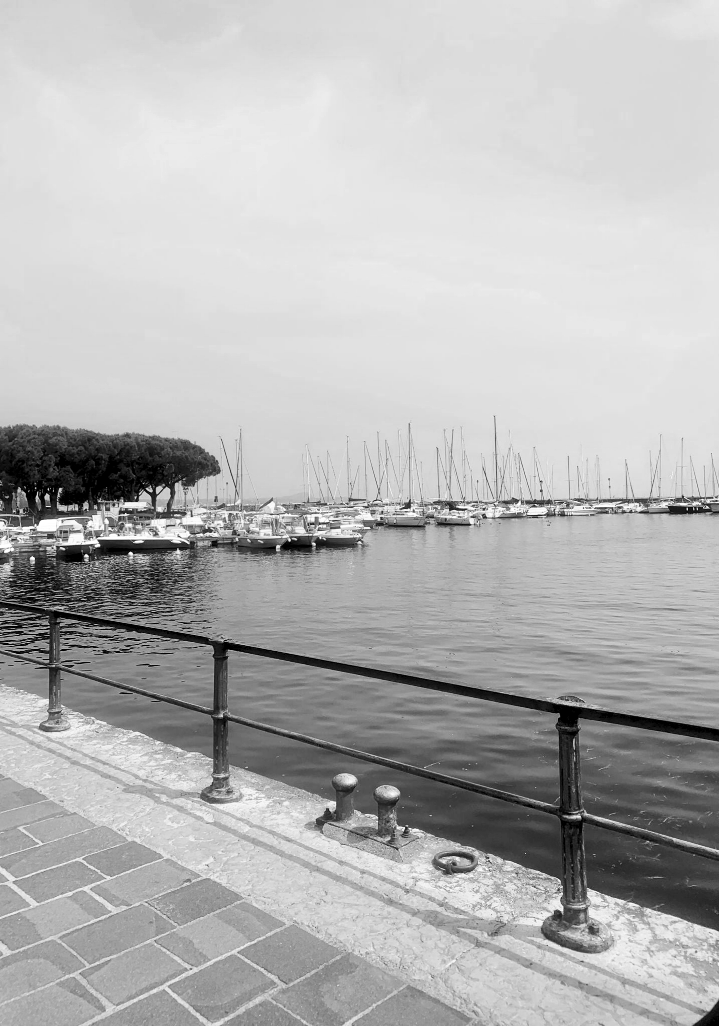IMG_20250720_110752.jpg
