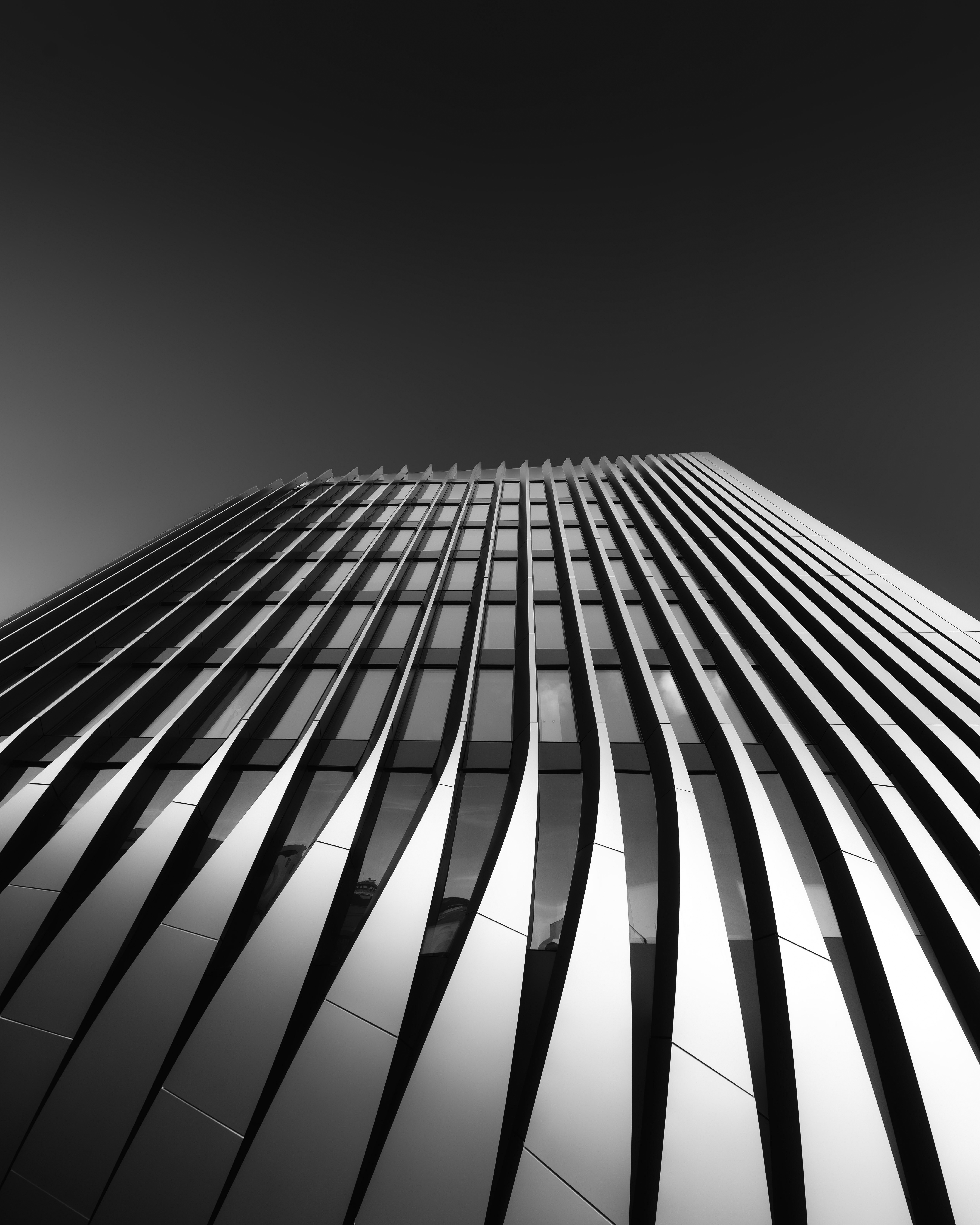 _DSC0308-Verbessert-RR.jpg