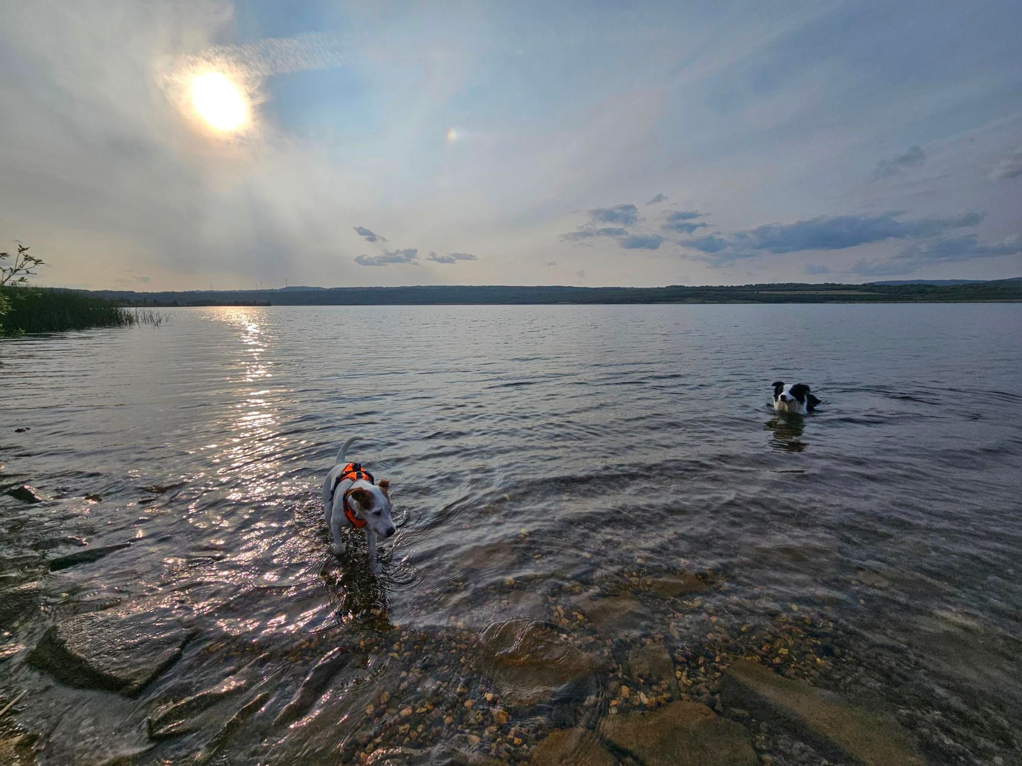 footer_image_14747097566.png