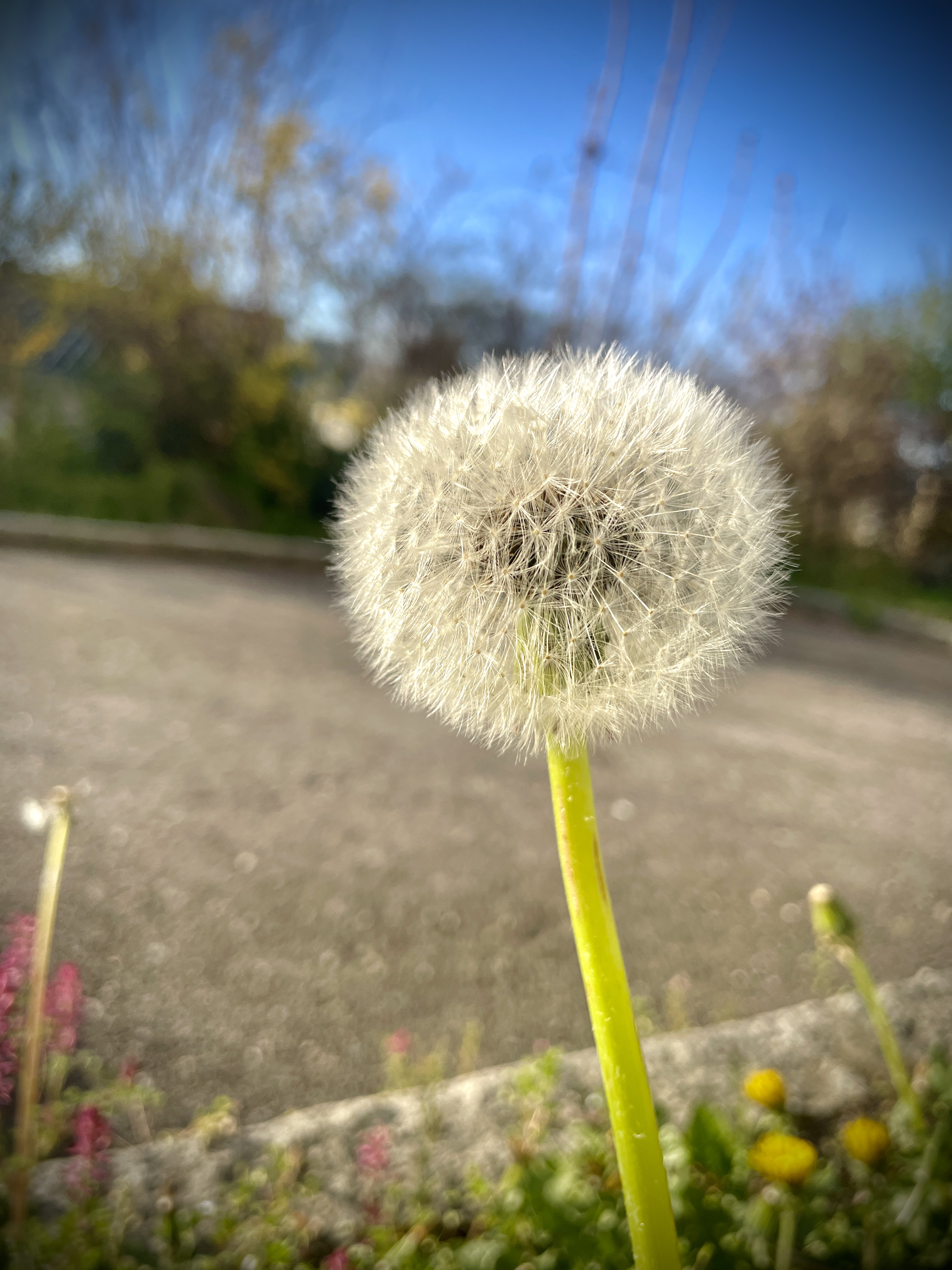 IMG_4744.jpeg
