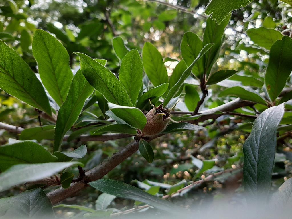 20210615_171618.jpg