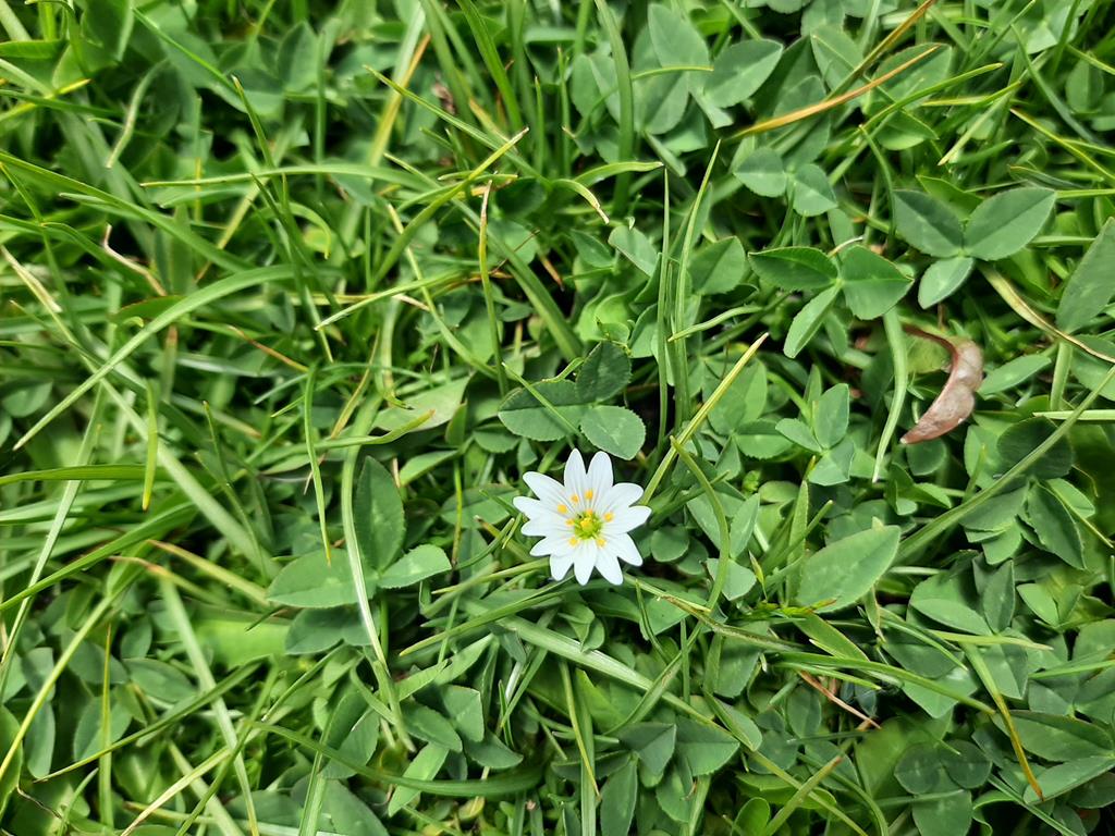 20250608_132704.jpg