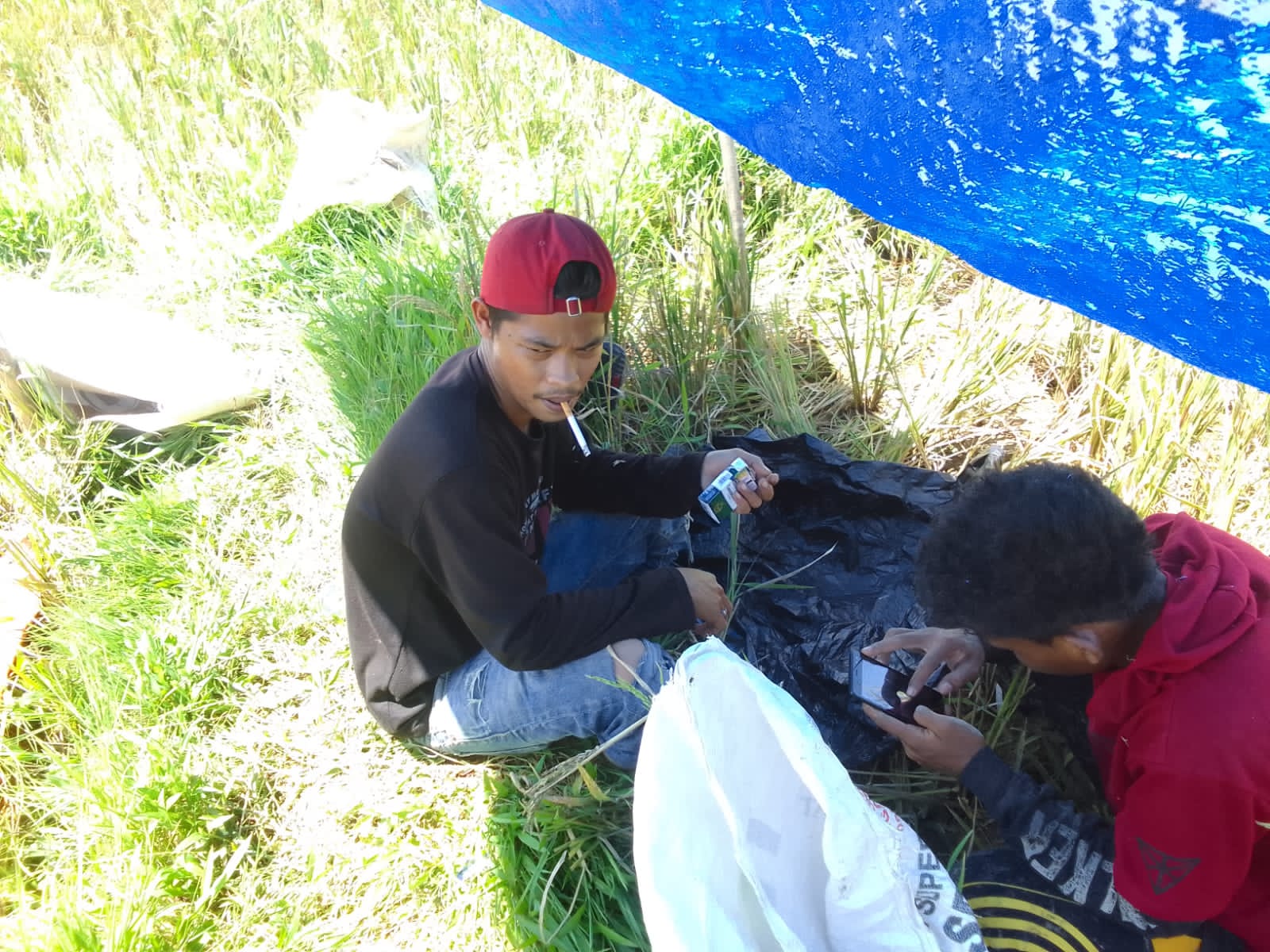 IMG-20220407-WA0014.jpg