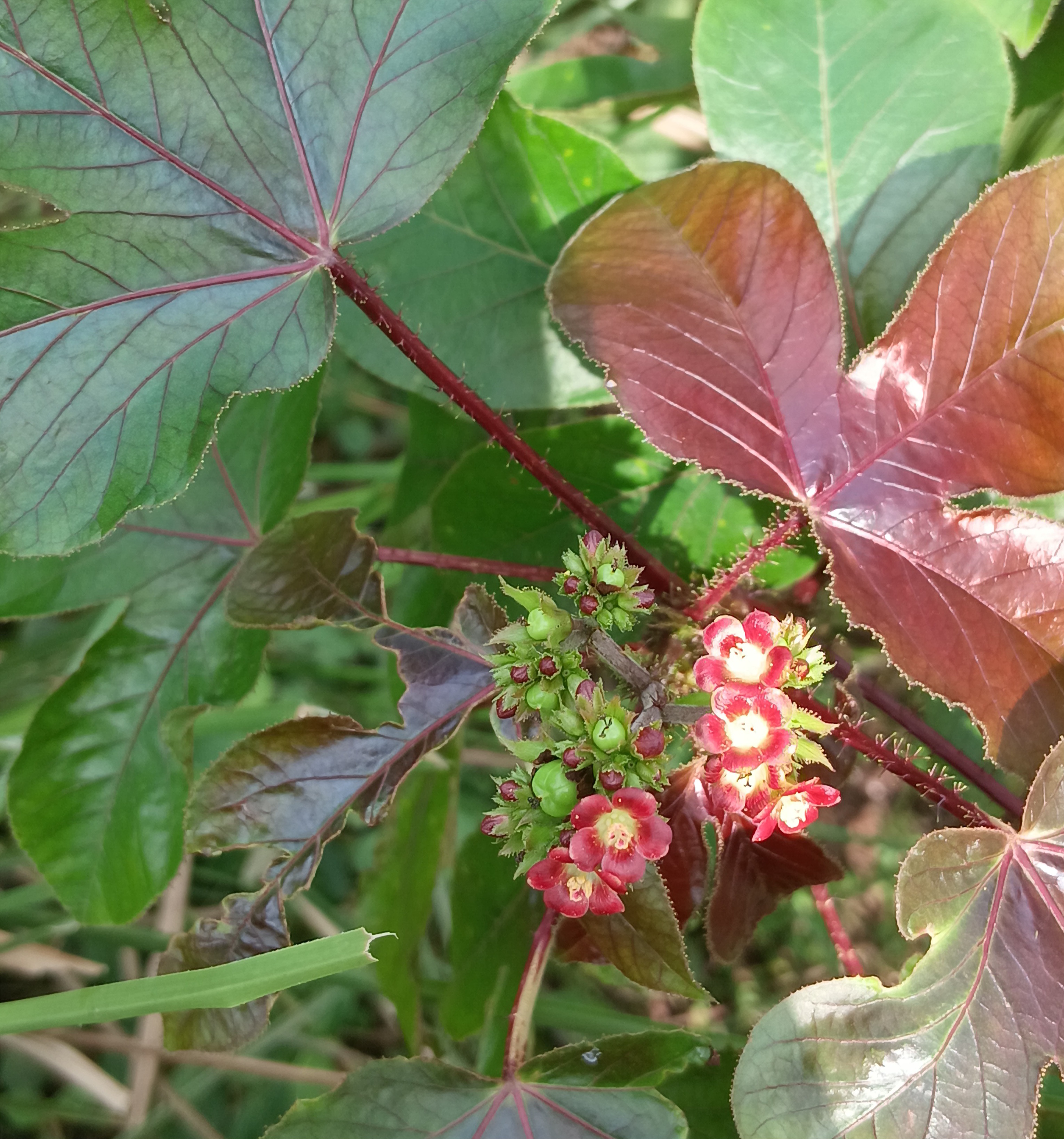 20250801_095537.jpg