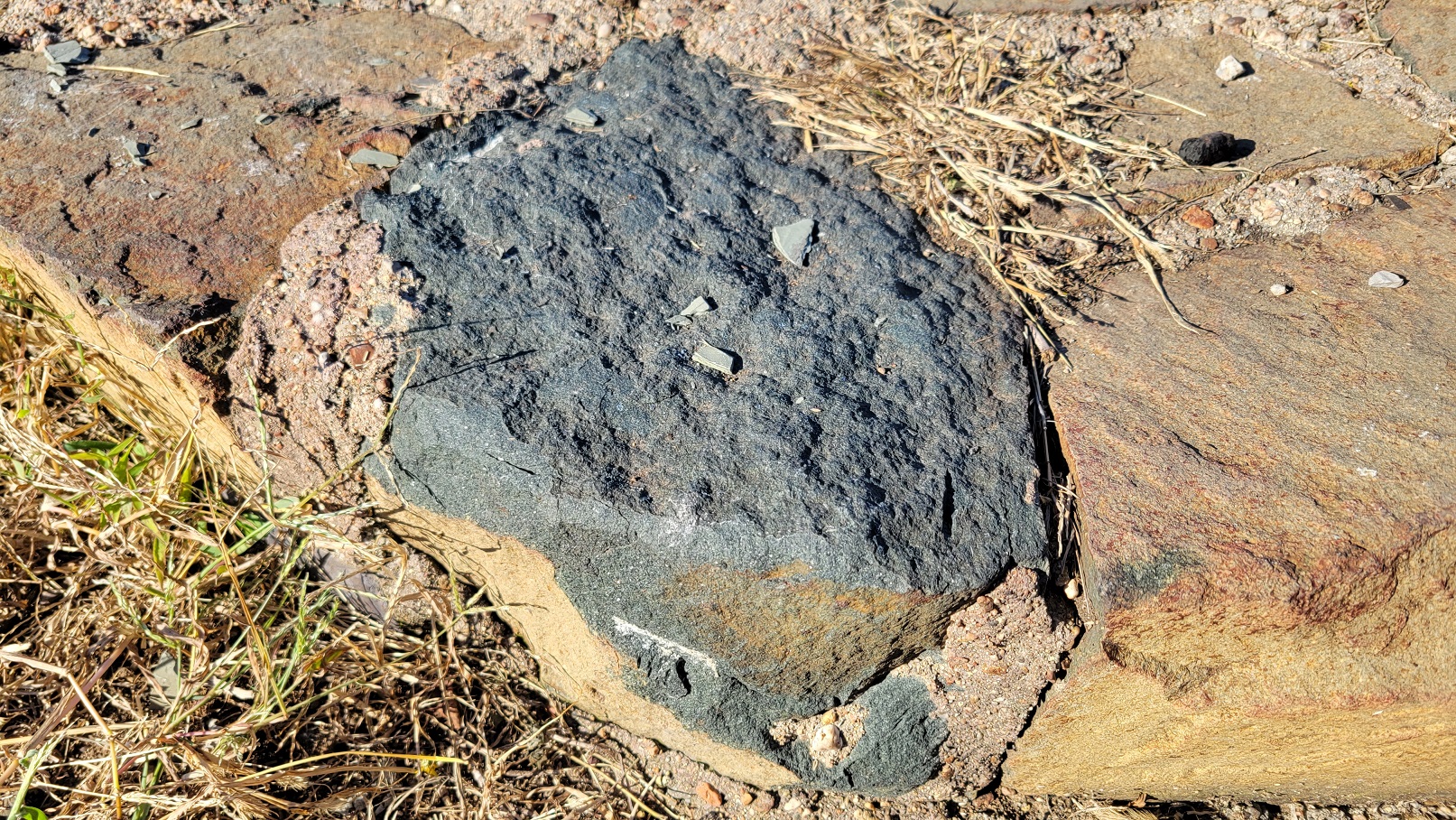 20221005_145533.jpg