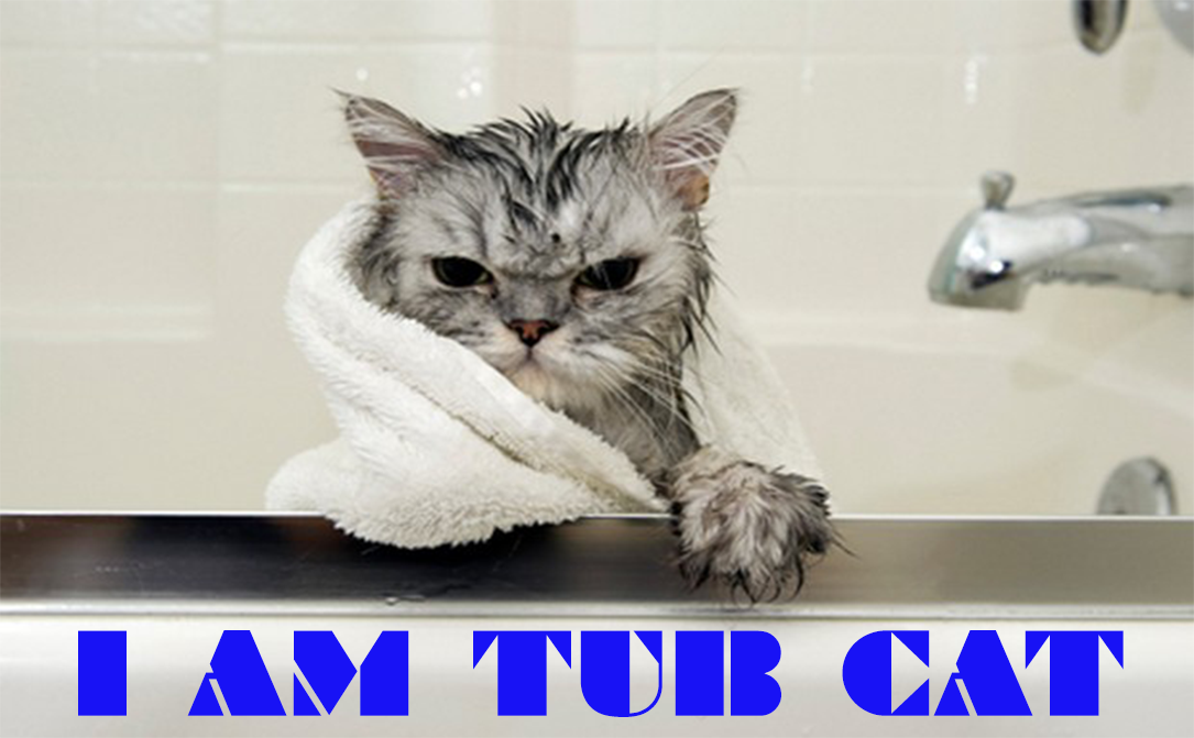 I AM TUB CAT.png