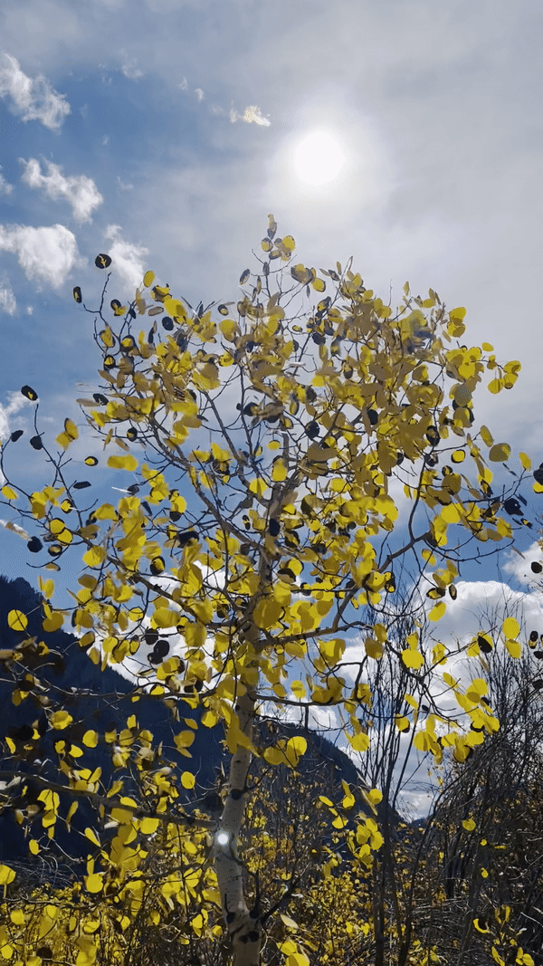 ezgif.com-gif-maker (2).gif