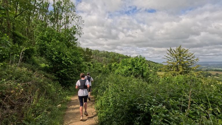 Morning Trail Run