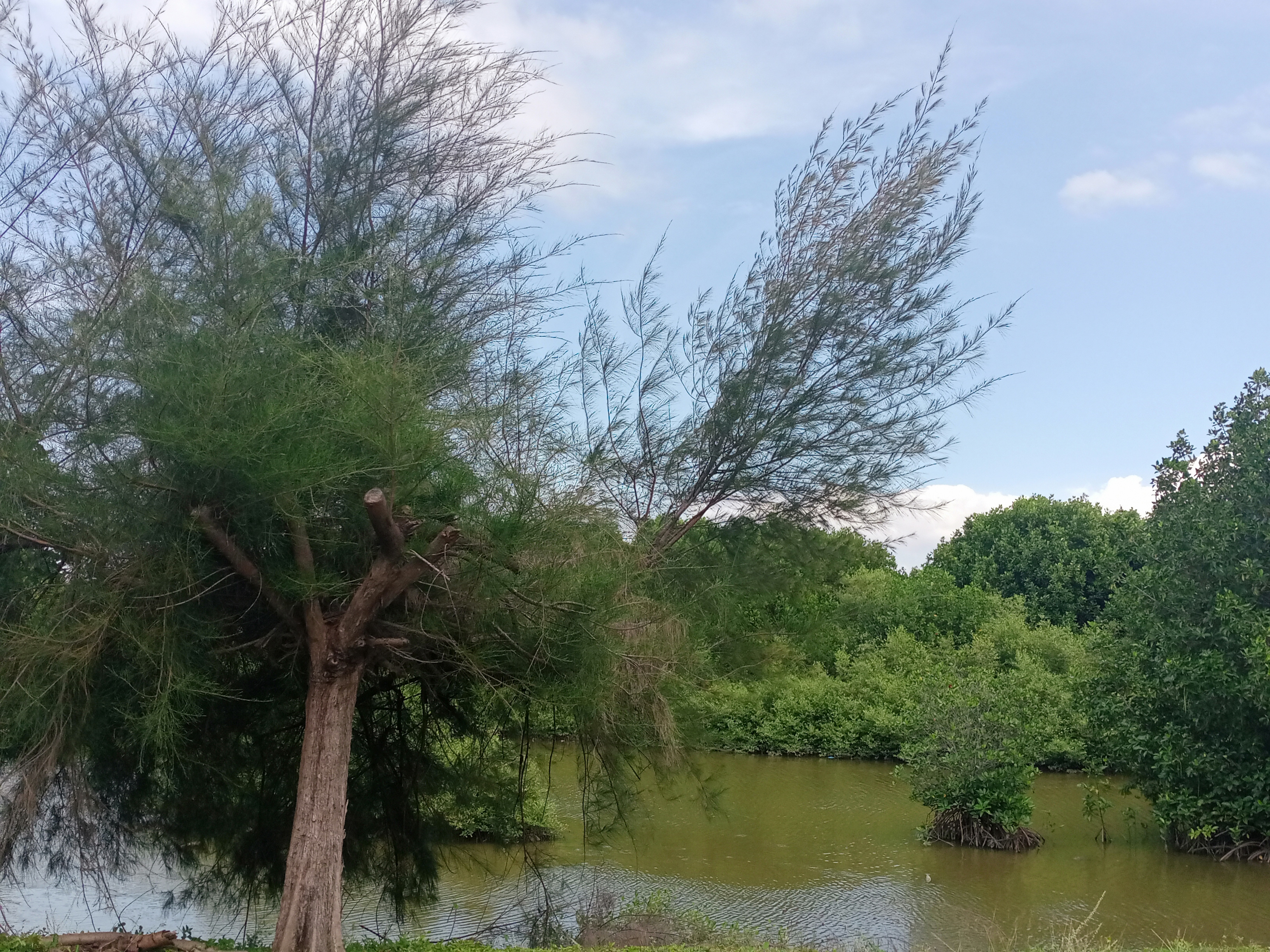 IMG20220107144651.jpg