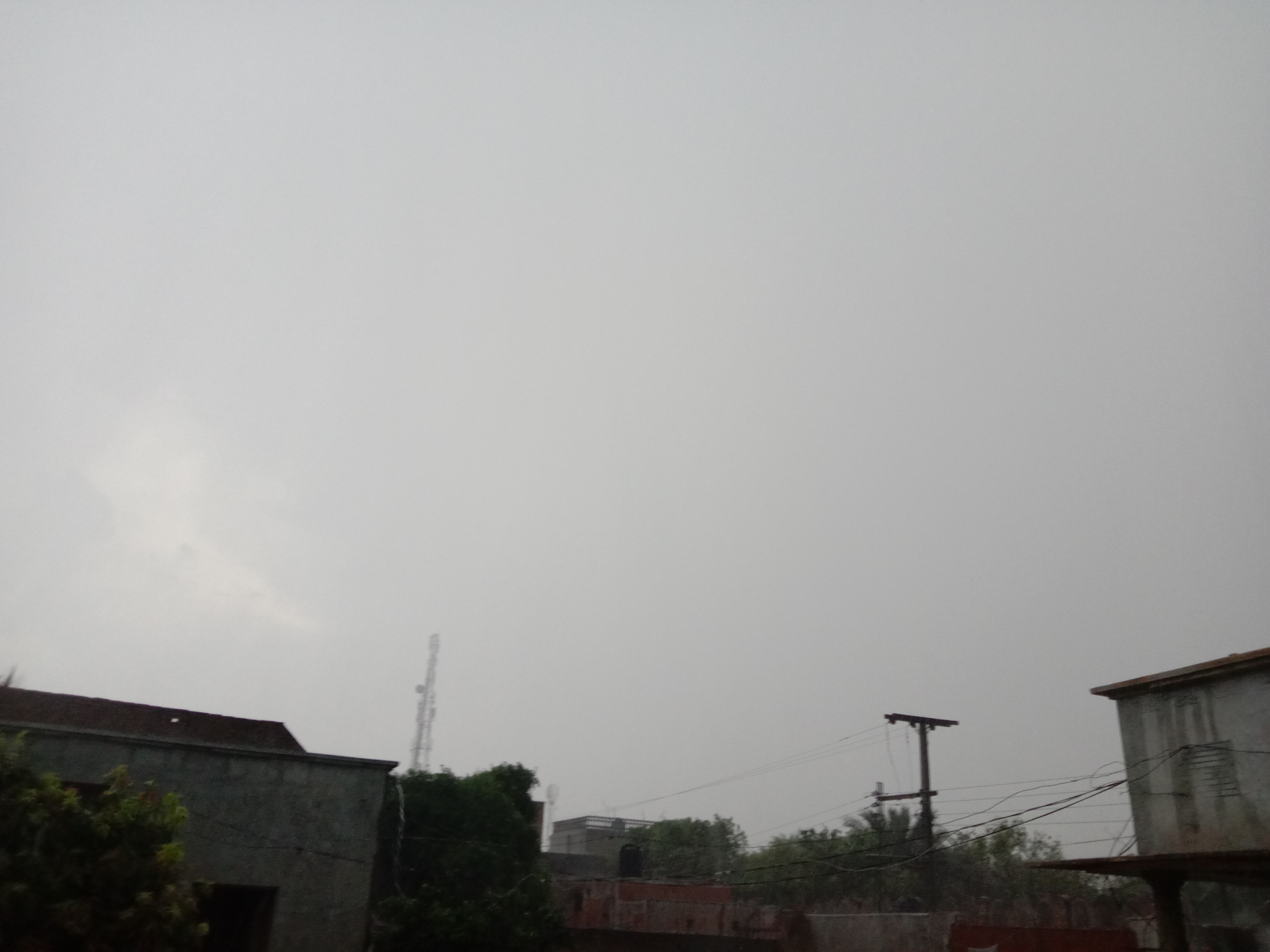 IMG_20200730_055807.jpg