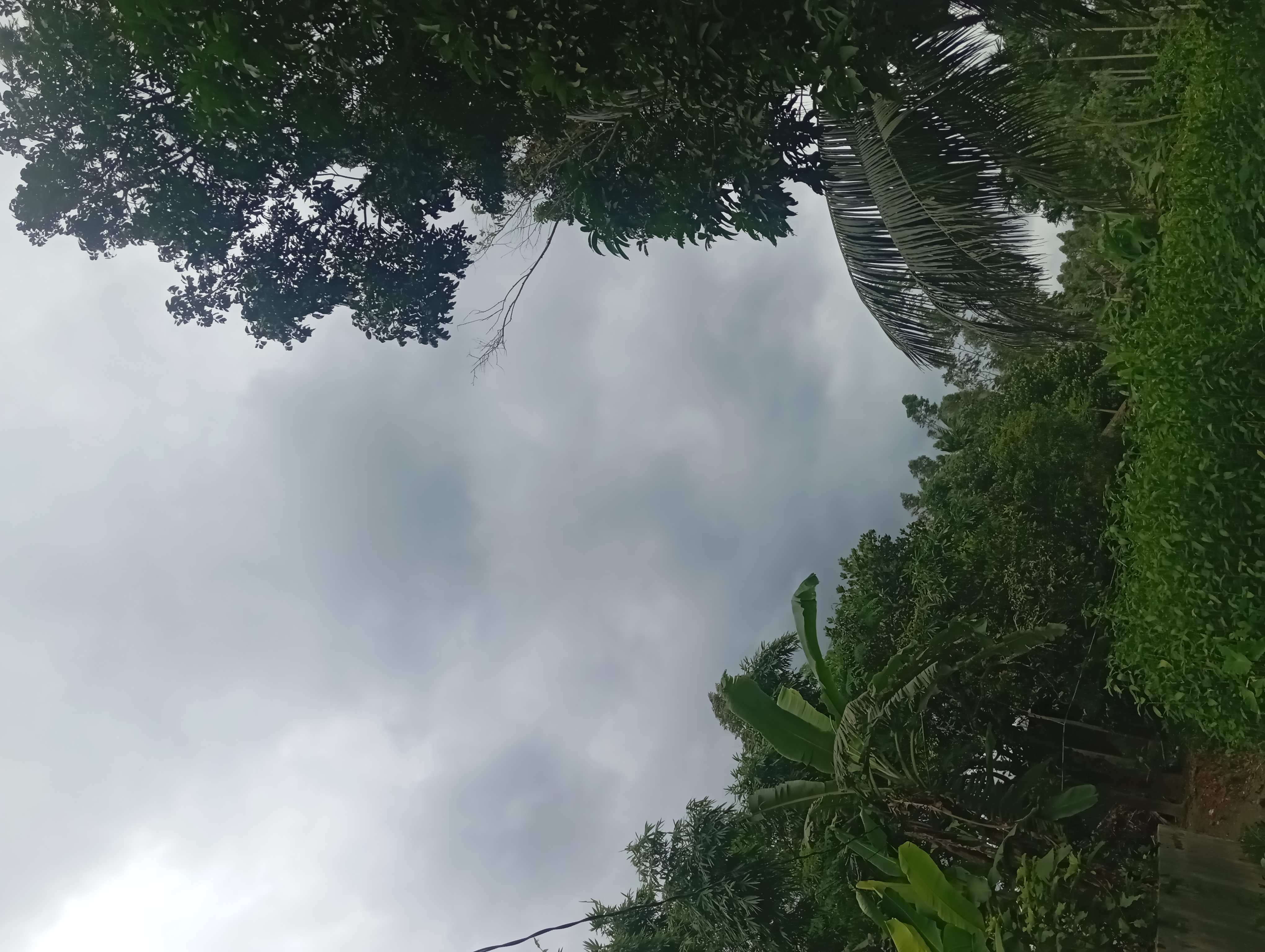 IMG_20250725_160304.jpg