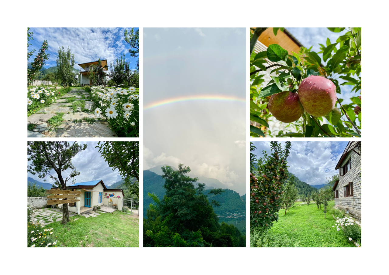 Brown and Beige Simple Interior Photo Collage Landscape A3.png