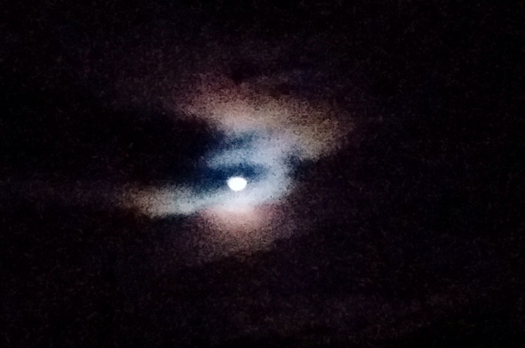 20200908_122613.jpg