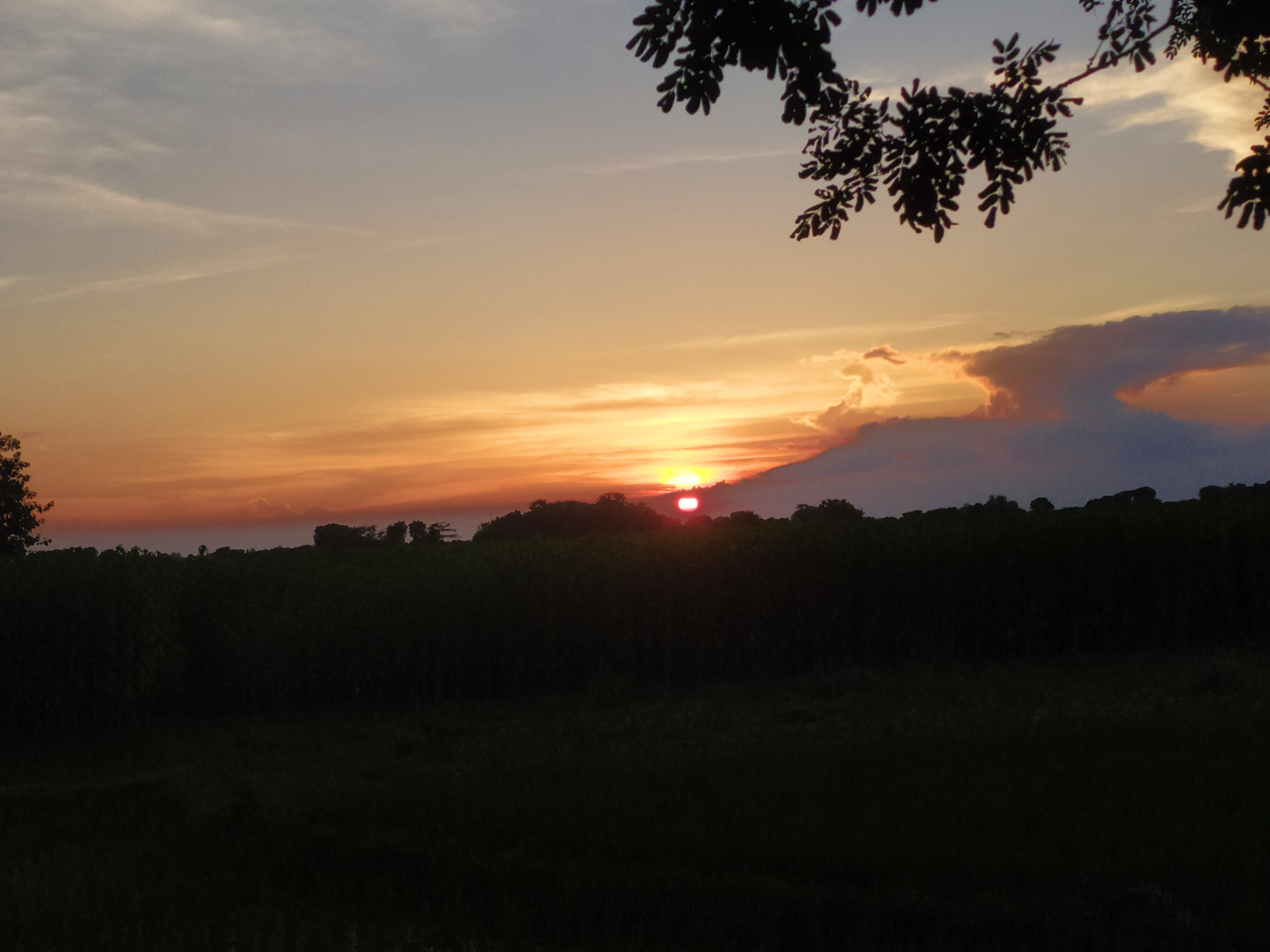 IMG_20220703_184746.jpg