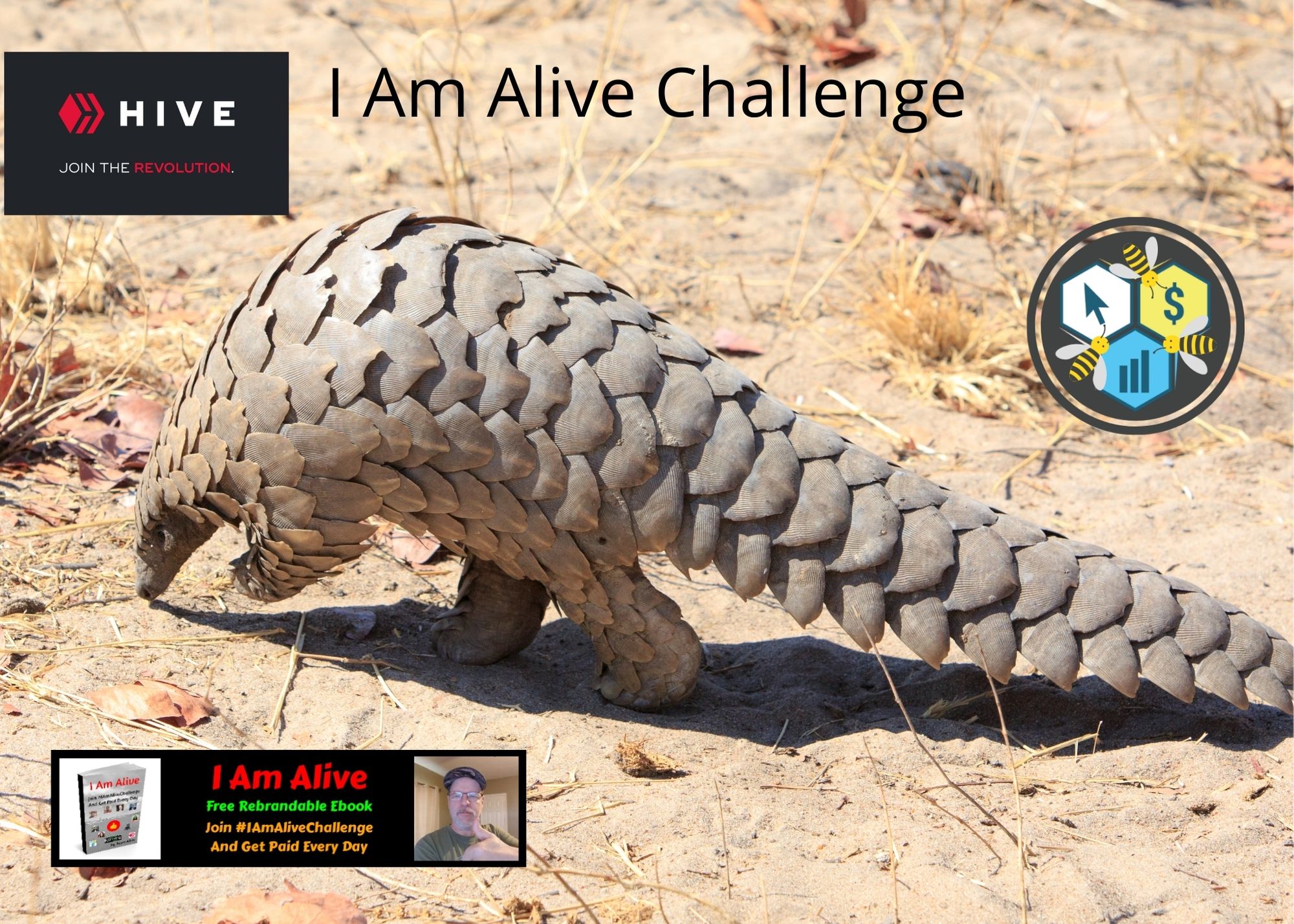 I Am Alive Challenge (28).jpg
