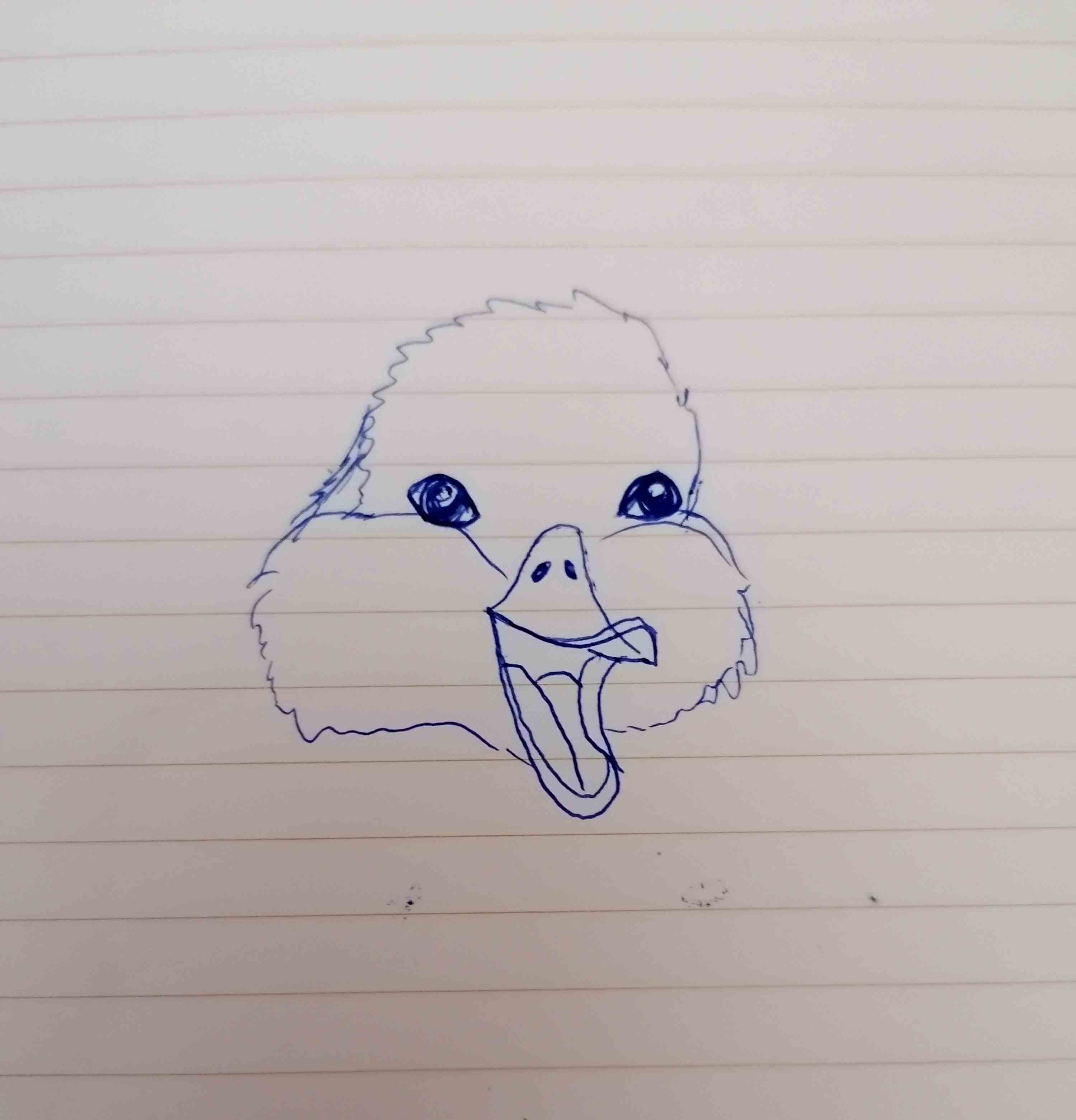 12334814755349796.jpg