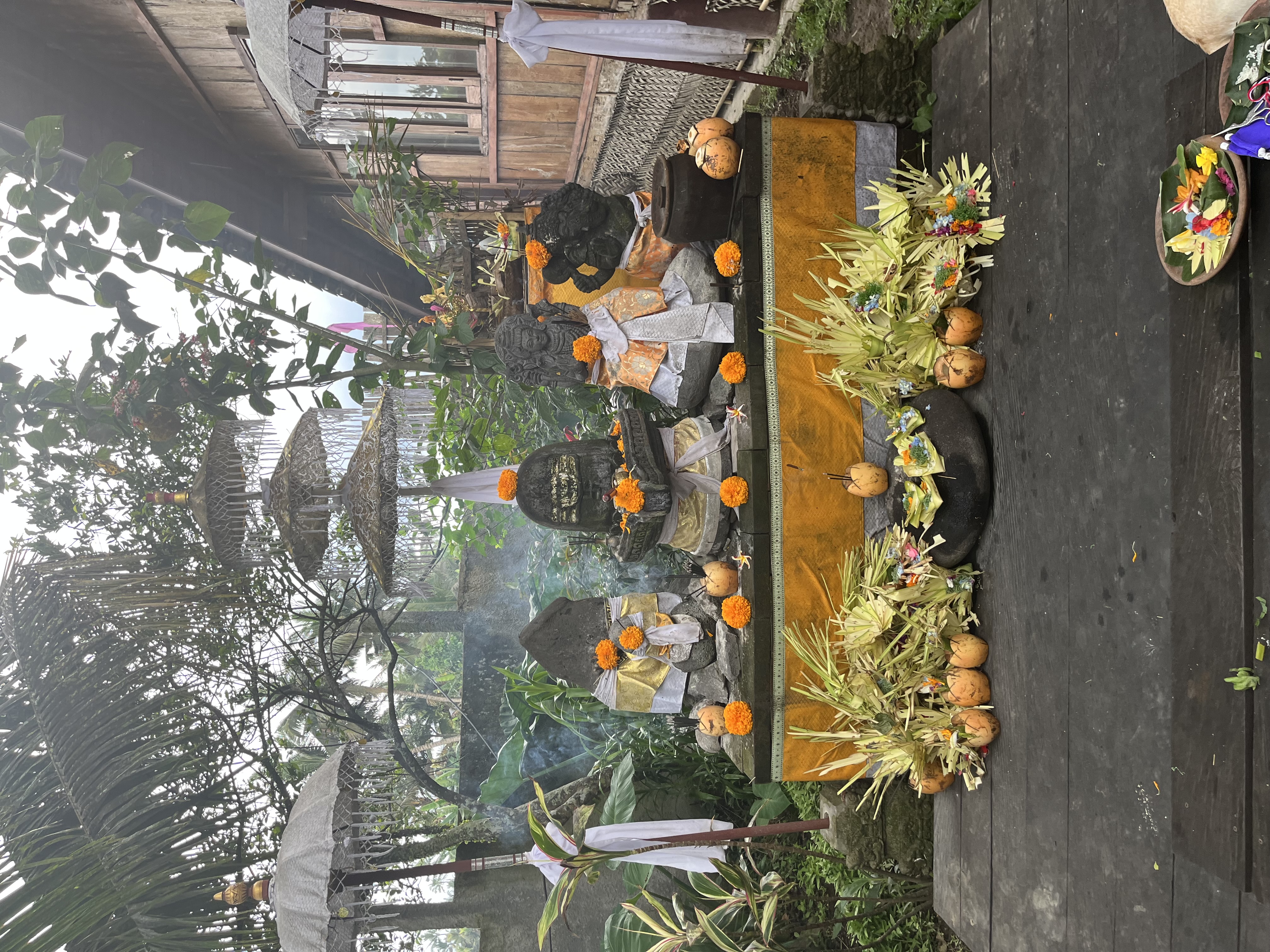 IMG_1065.jpeg
