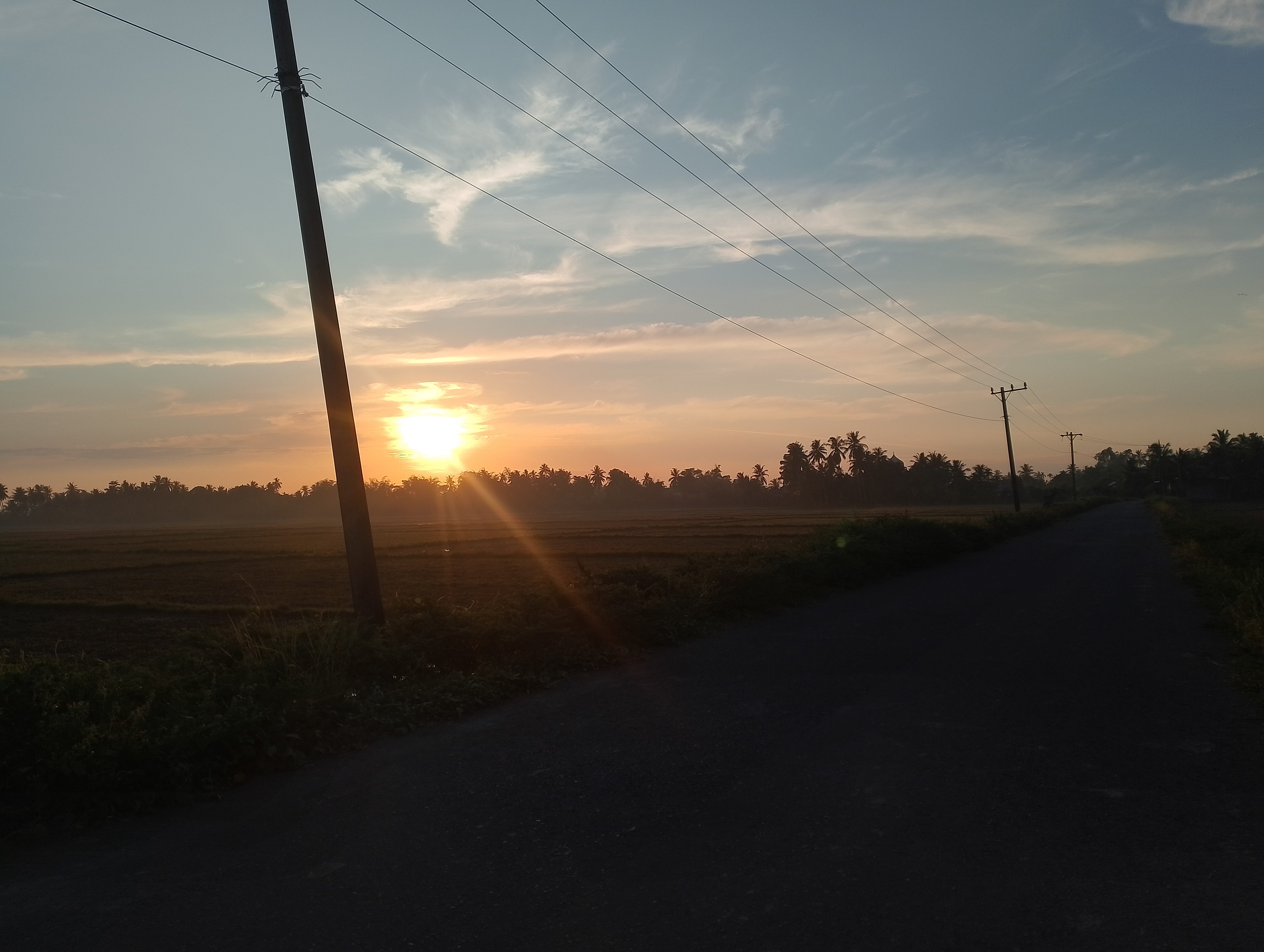 IMG_20250725_064642.jpg