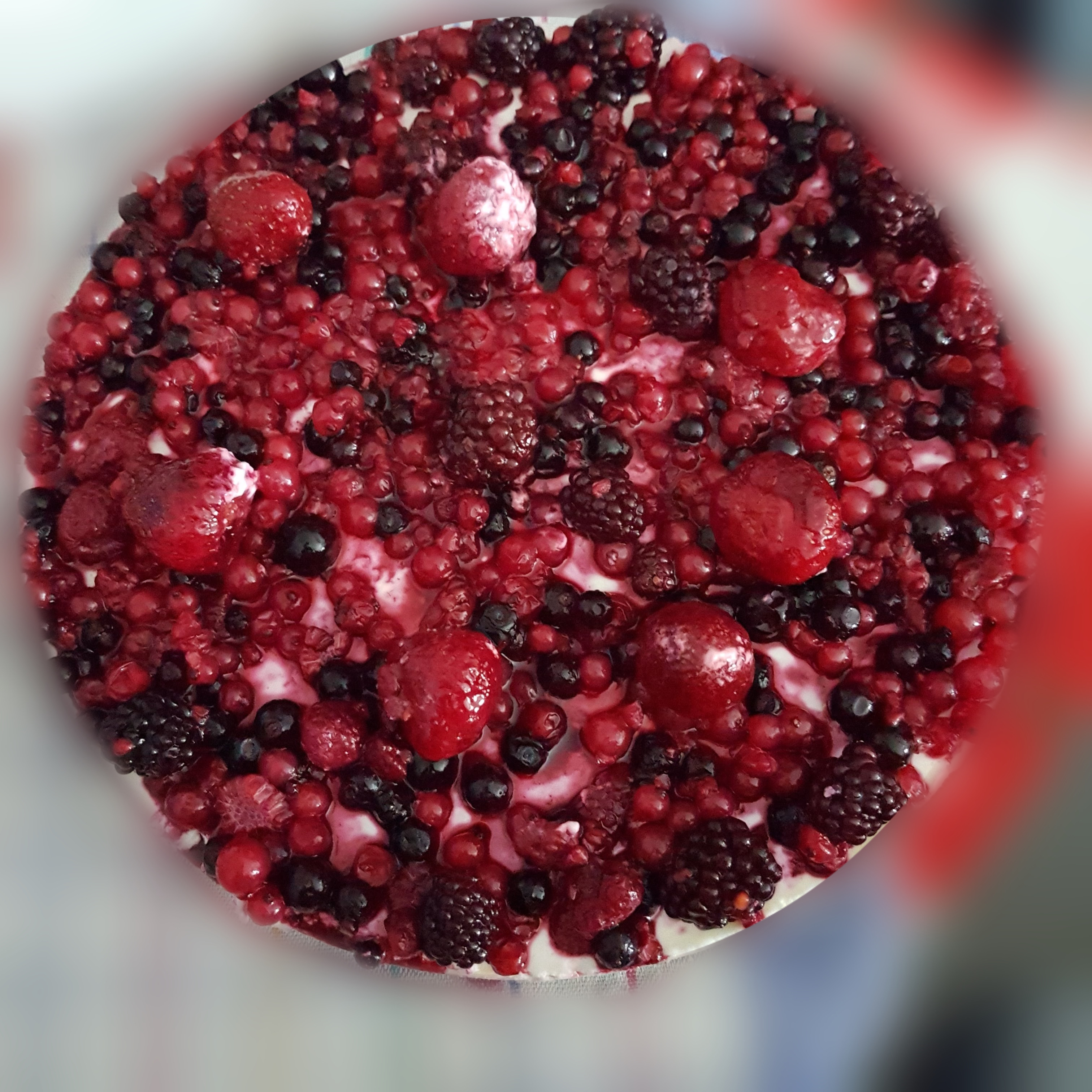 🍰 Cheesecake Obsession: Easy Recipe for 10 Servings!