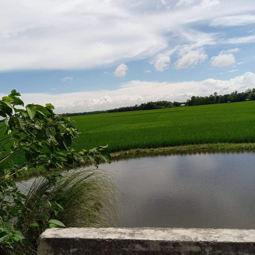 received_891711944779128.jpeg