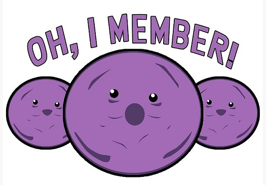 memberberries.jpg