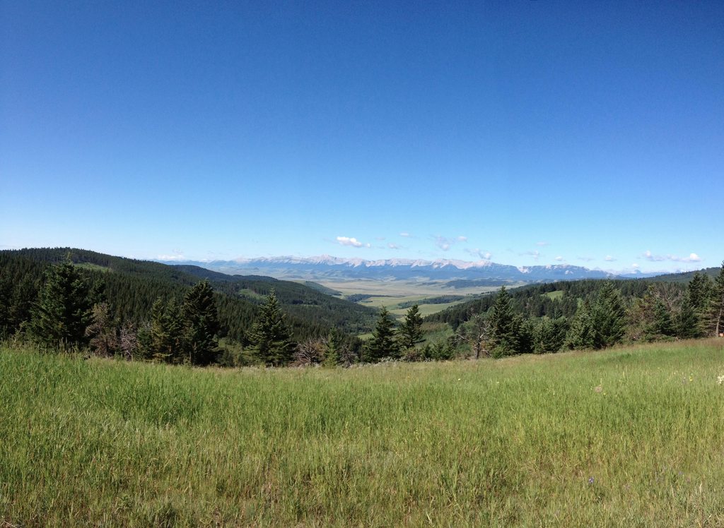 4a1app-Livingstone_Mountain_Range_From_The_Porcupine_Hills__Alberta___OC___3248x2372_-yjh9NGrh.jpg